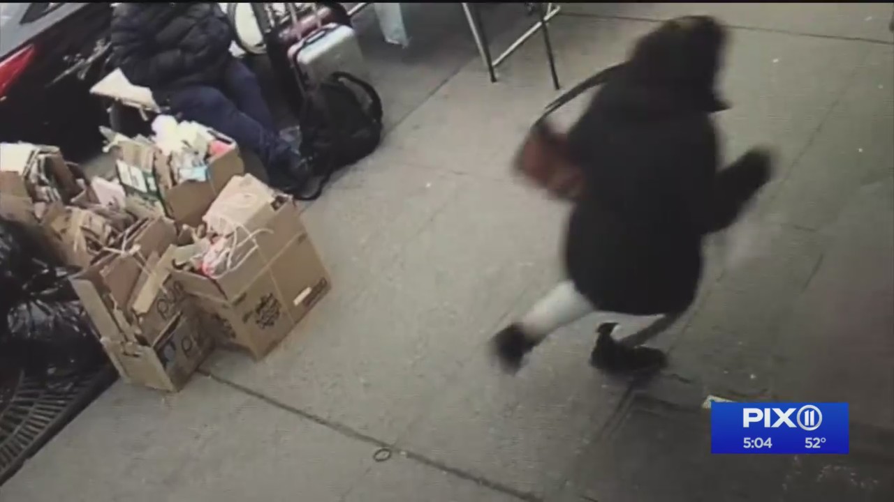 Grandma killed by stray bullet in the Bronx had lost her husband to ...