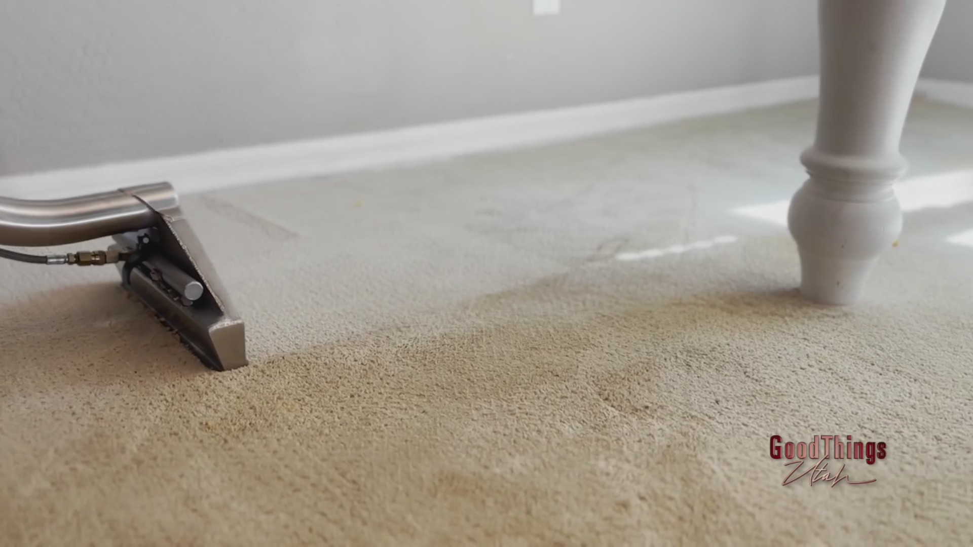 Zerorez Keeping a healthy home with pets during the winter ABC4 Utah