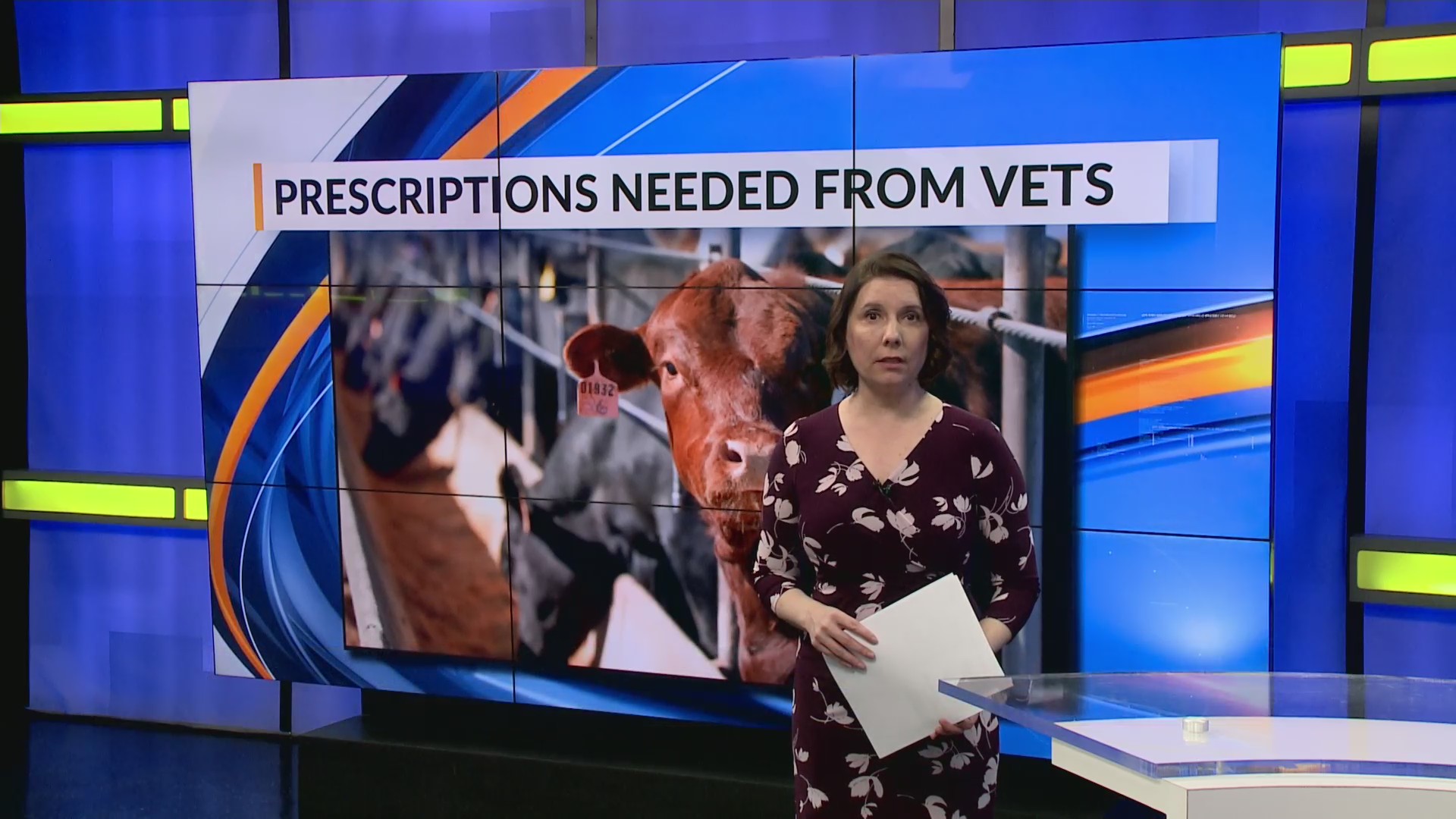 Prescription needed from vets – KX NEWS