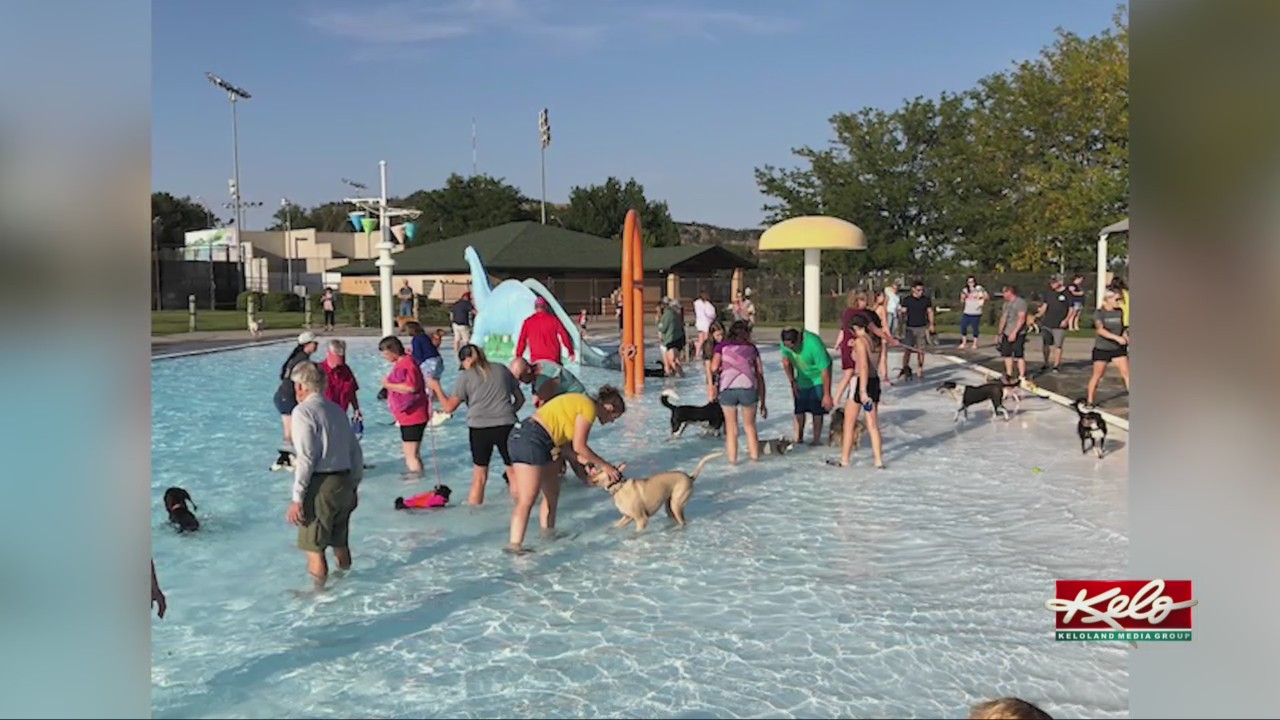 Rapid City pool to host Wags and Waves event Sunday