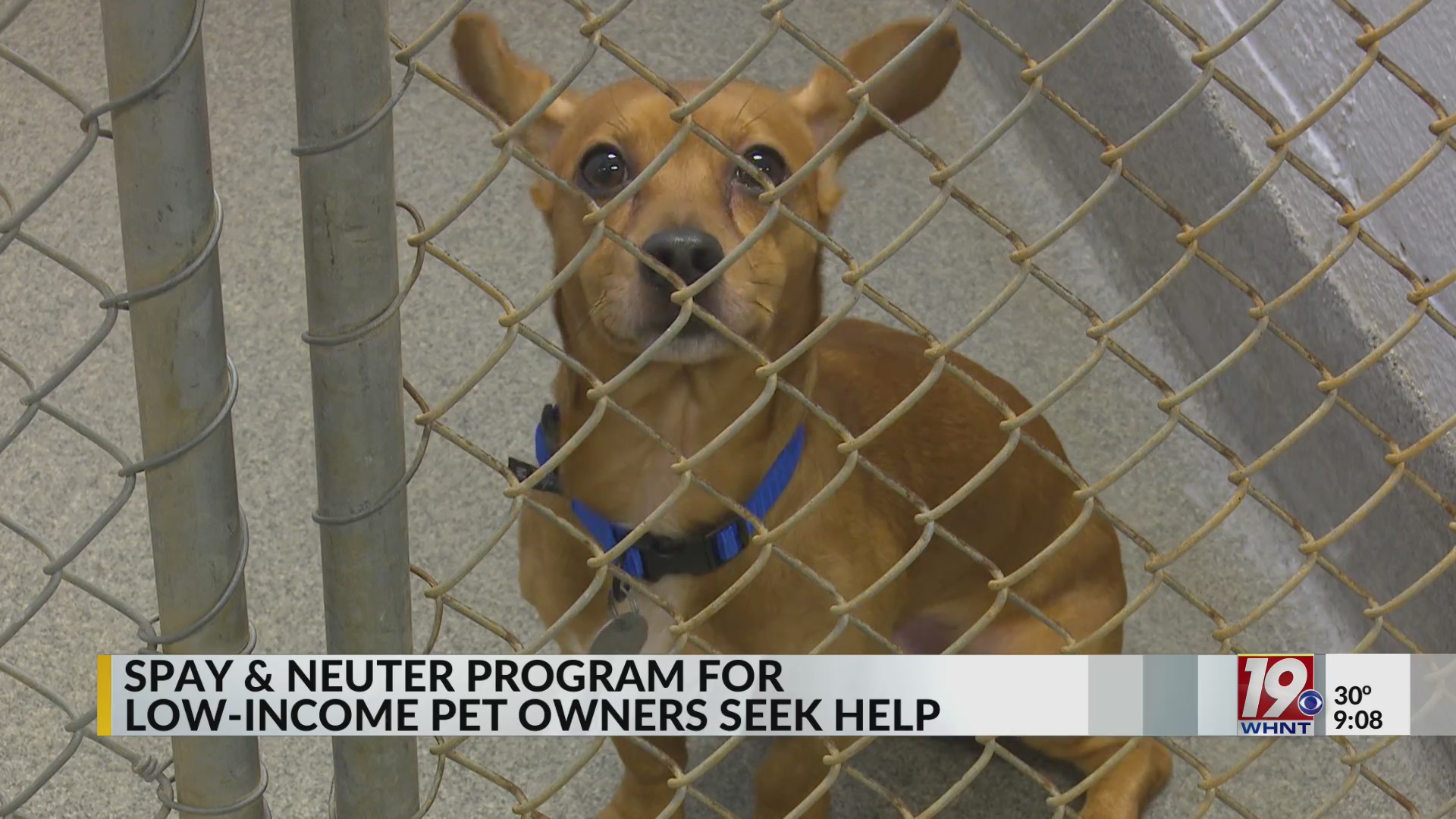 Spay & Neuter Program for Pet Owners Seeks Help