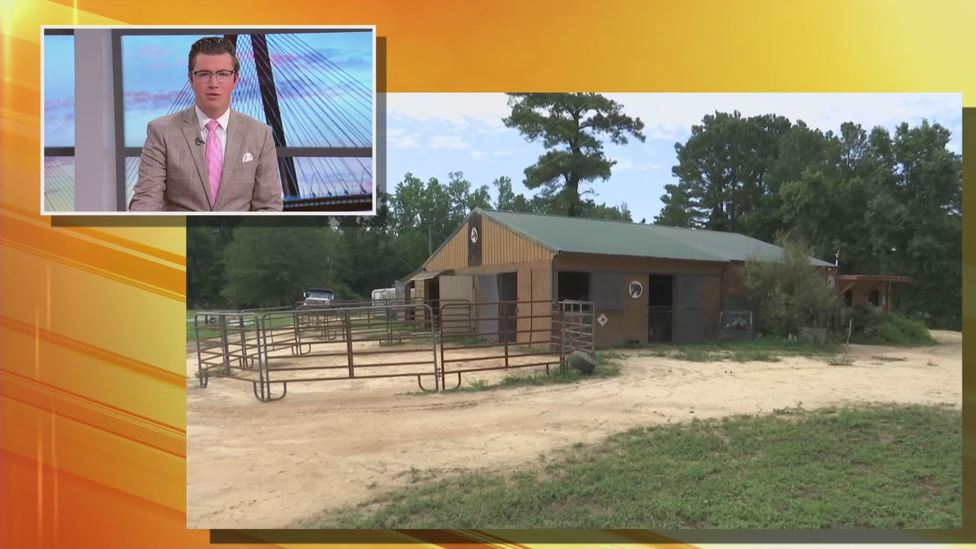 Owners speak out after horses shot in Dorchester County – WCBD News 2