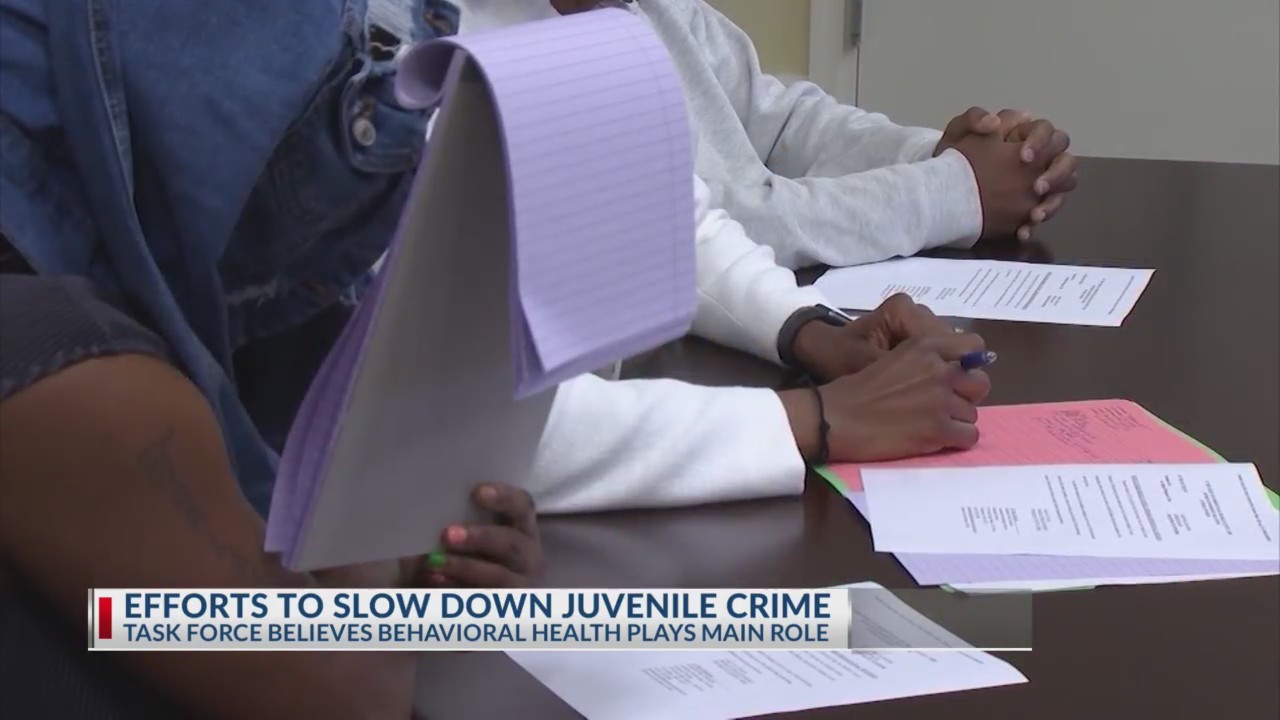 Juvenile justice task force says behavioral health is main factor in ...