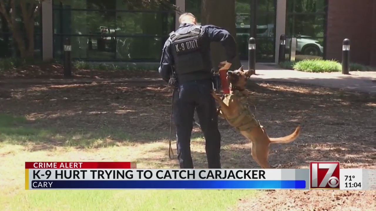 Gunpoint Scared Man steals truck at gunpoint; hits Cary police K-9 during chase ...