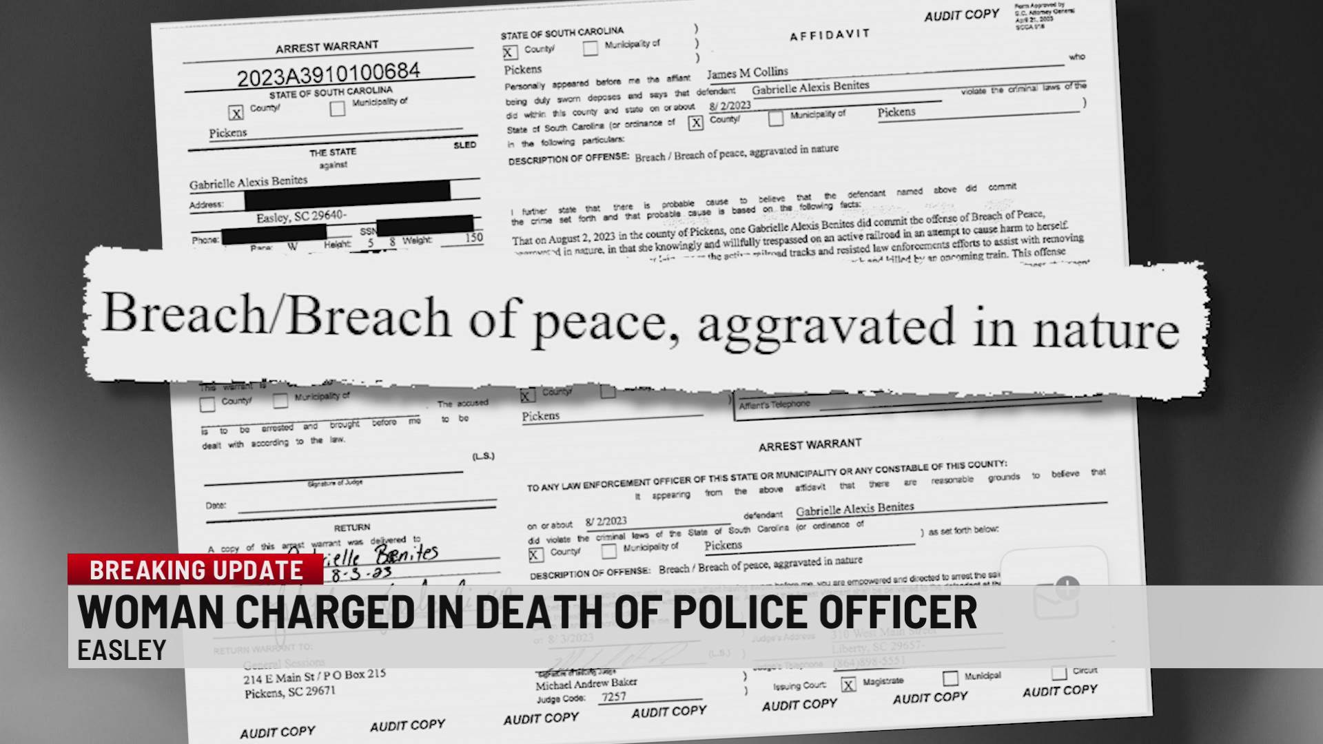 Woman charged in connection to the death of Easley Police Officer ...