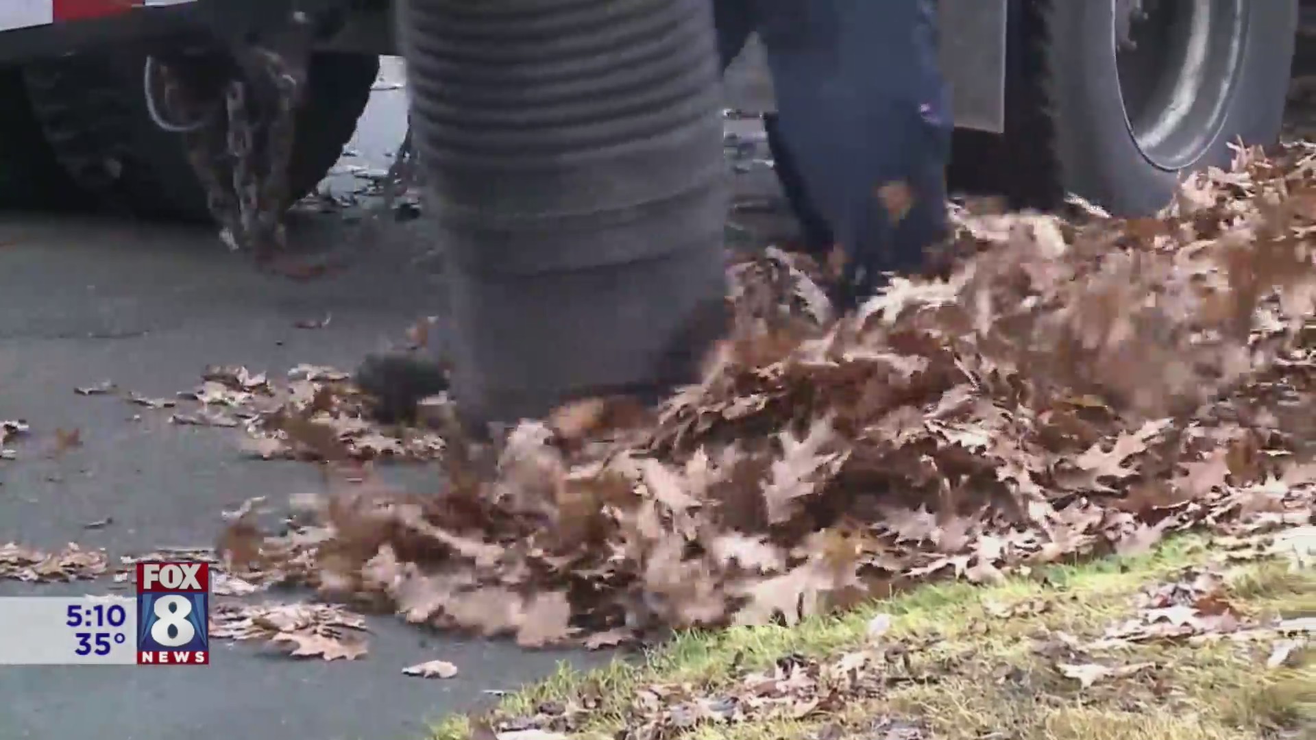 Why are leaves piling up in Cleveland? – Fox 8 Cleveland WJW