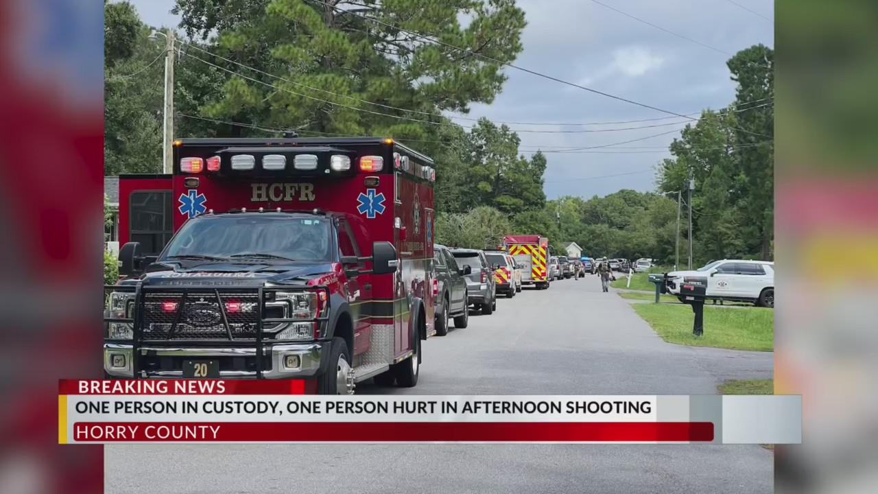 Suspect in custody after shooting injures 1 on Buddy Lane, Horry County ...