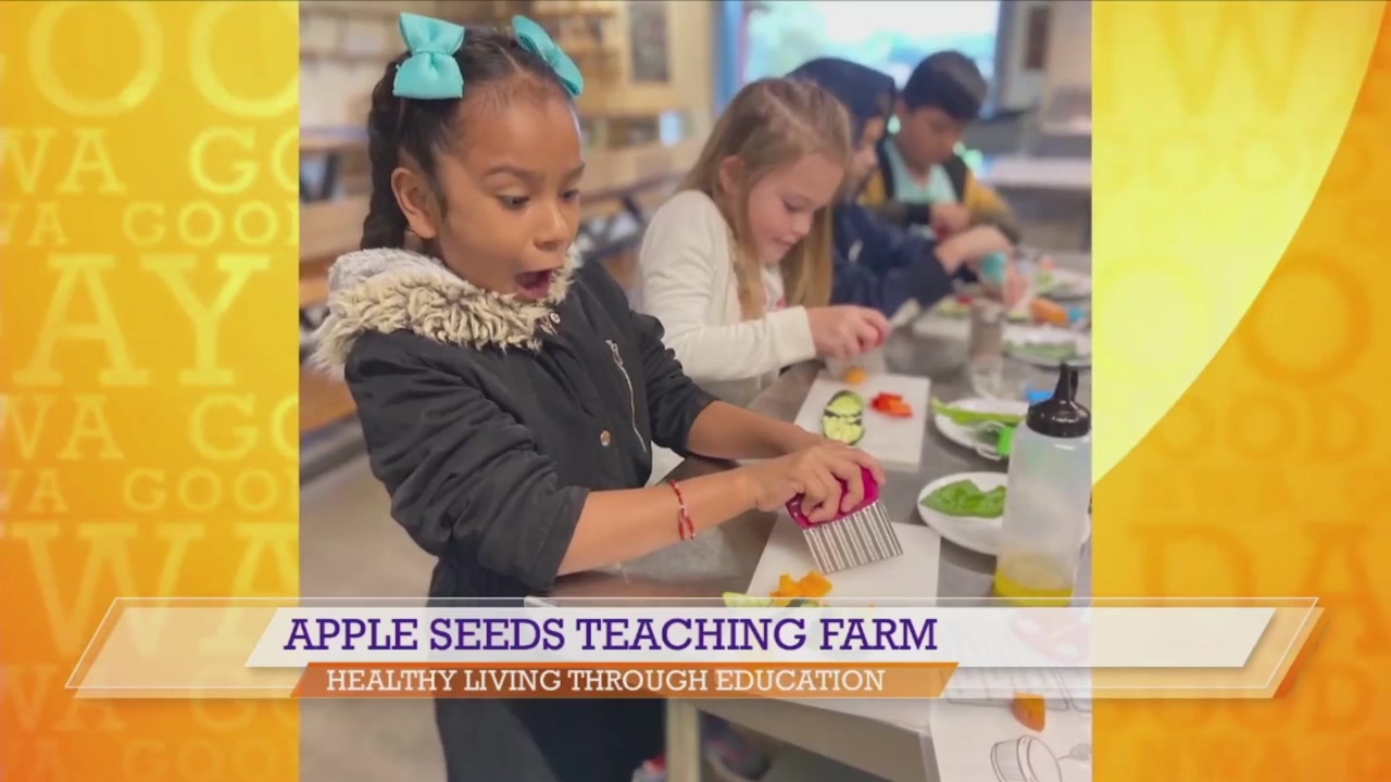 Good Day NWA Apple Seeds Chef Series KNWA FOX24