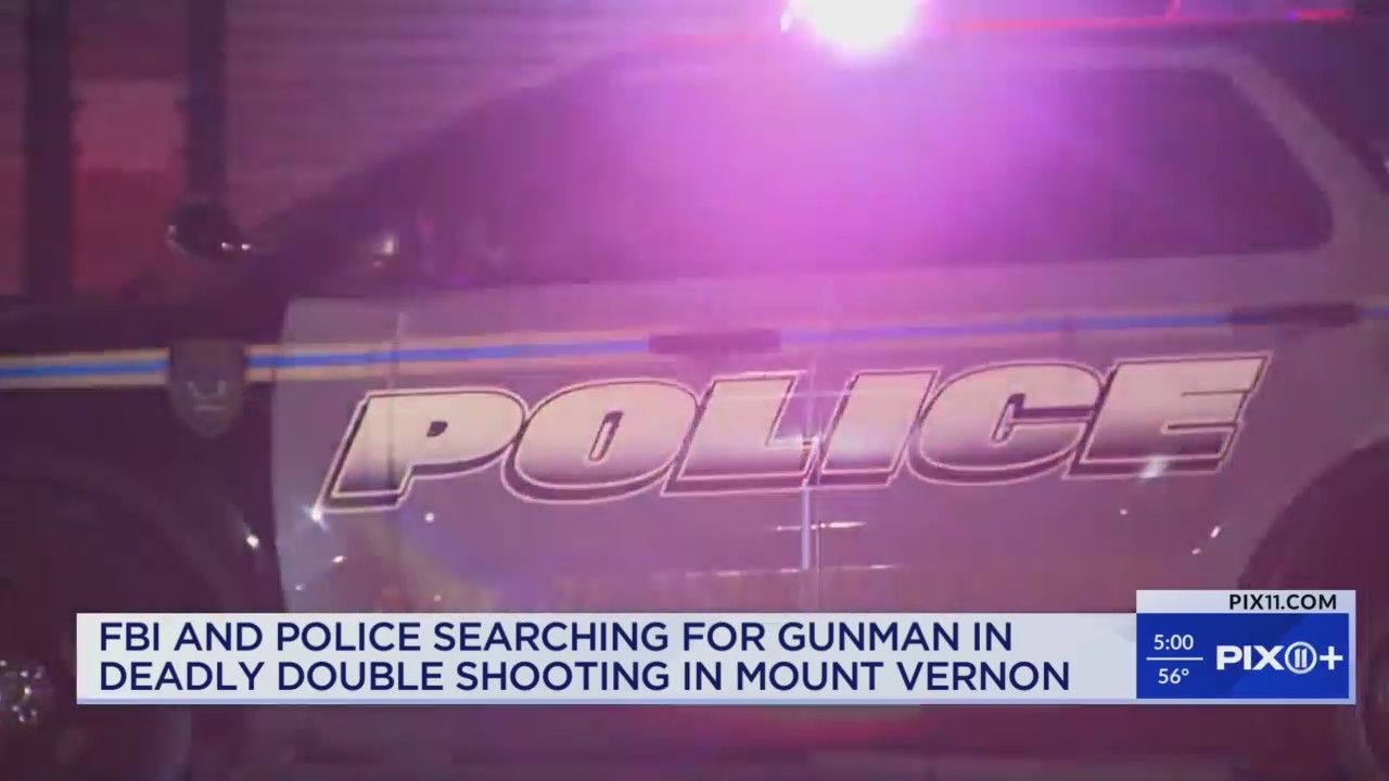 Witnesses describe double homicide shooting in Mount Vernon – PIX11