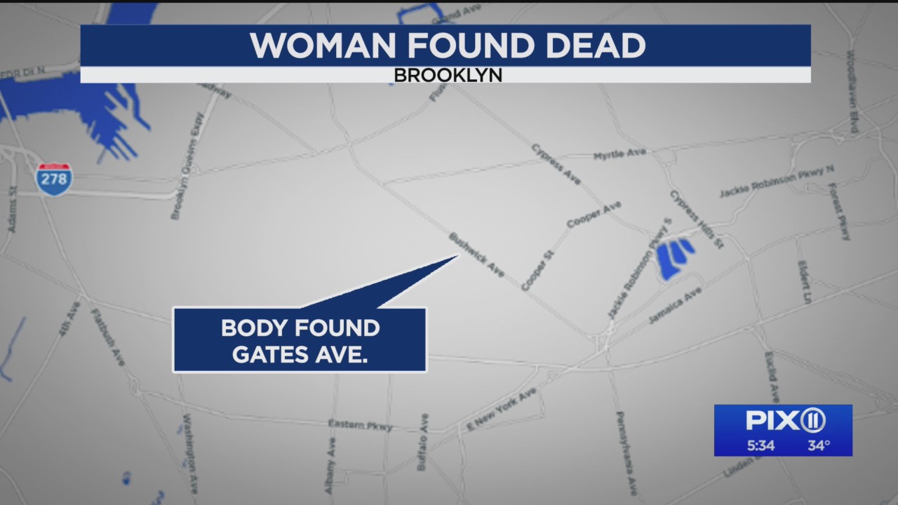 Woman found dead, stabbed in BK domestic dispute: NYPD – PIX11