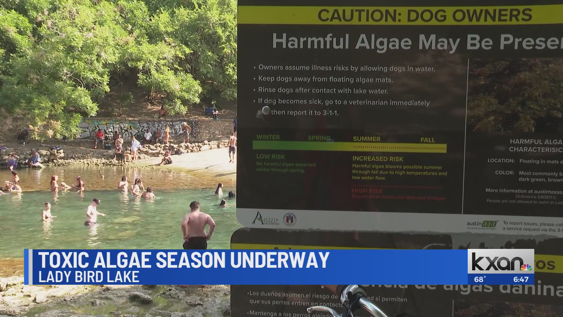 Toxic algae season underway in Austin KXAN Austin