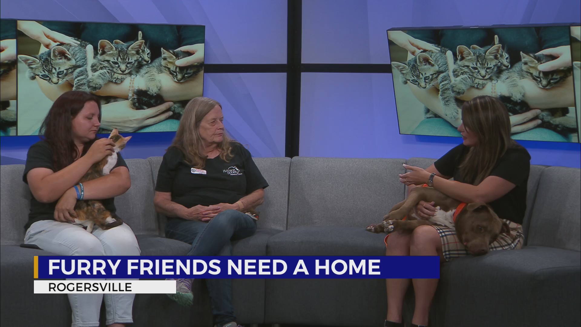 Hawkins Co. Humane Society hopes to help animals find homes - WJHL ...