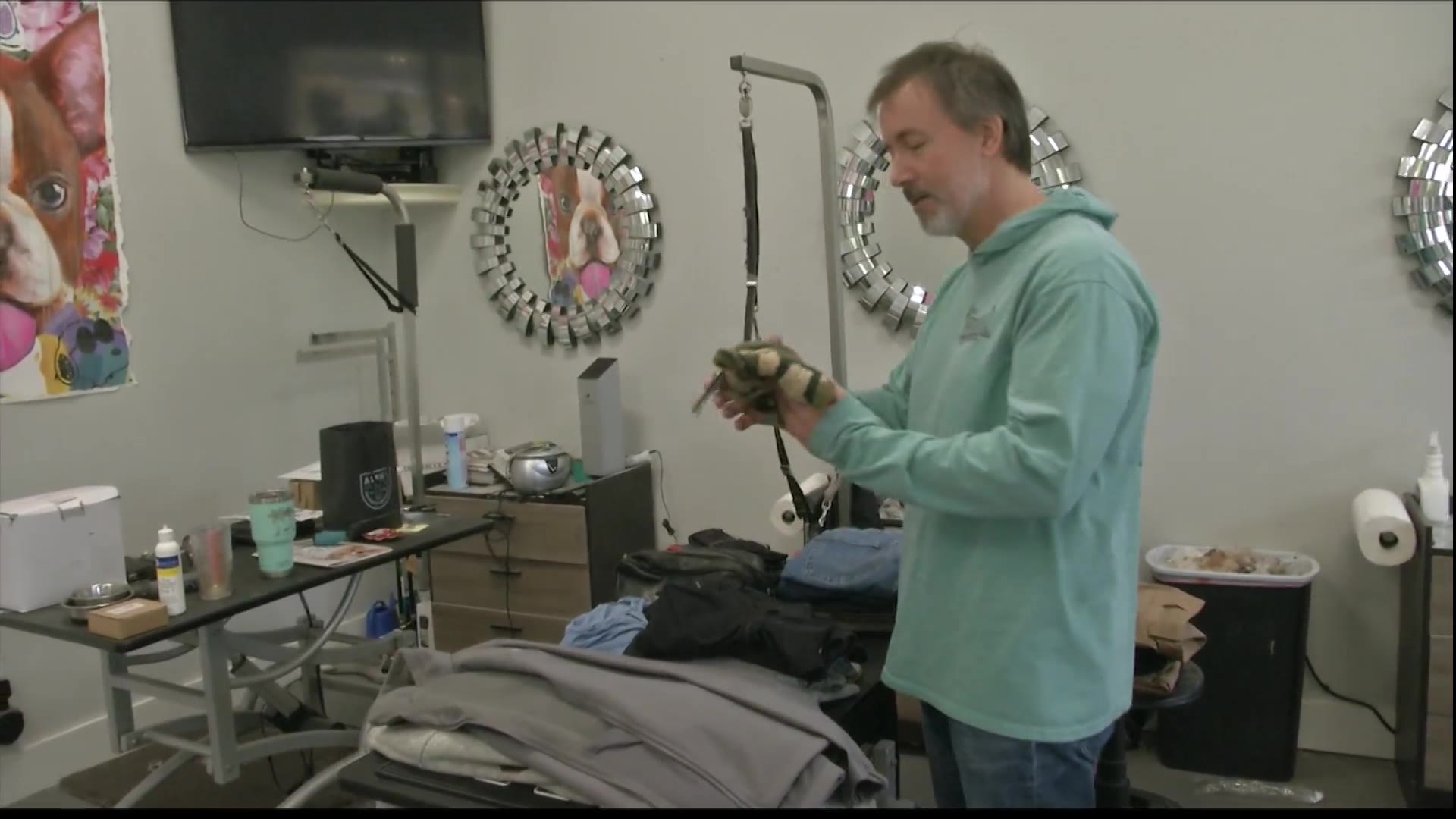 Hilton Head dog groomer heads to Ukraine to help animals in need WSAVTV