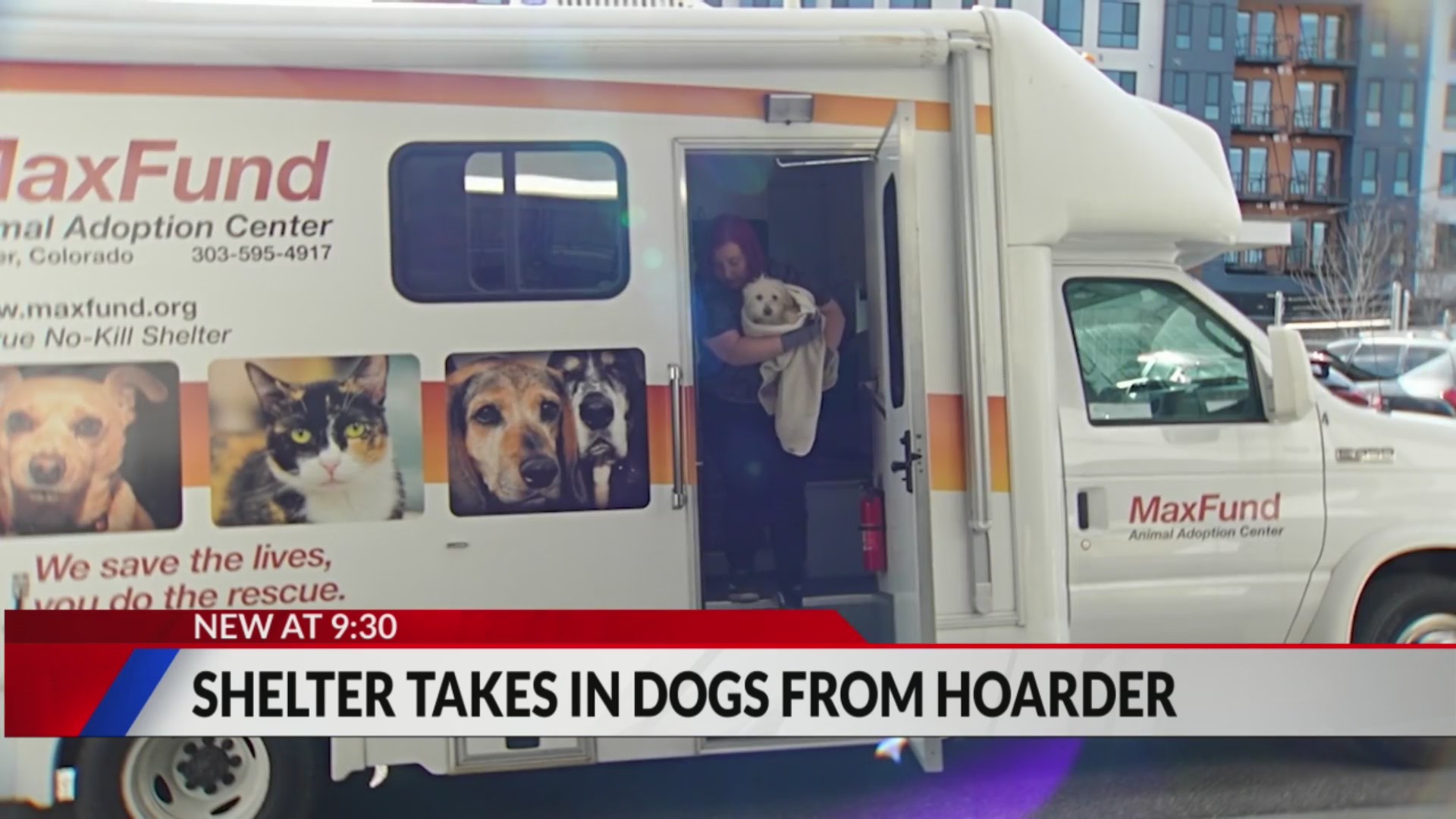 MaxFund shelter takes in 25 dogs from hoarding situation FOX31 Denver