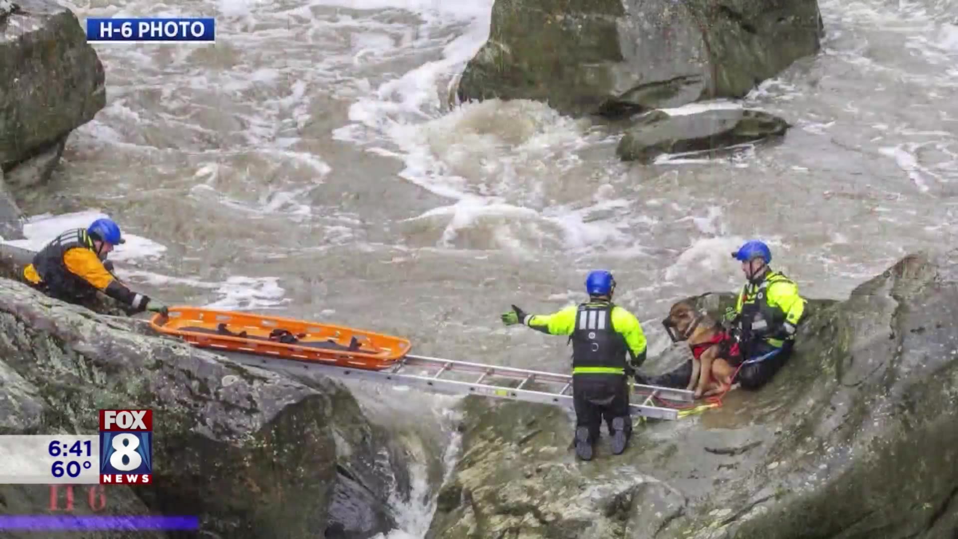 Dog reunites with Ohio first responders who rescued him from raging ...