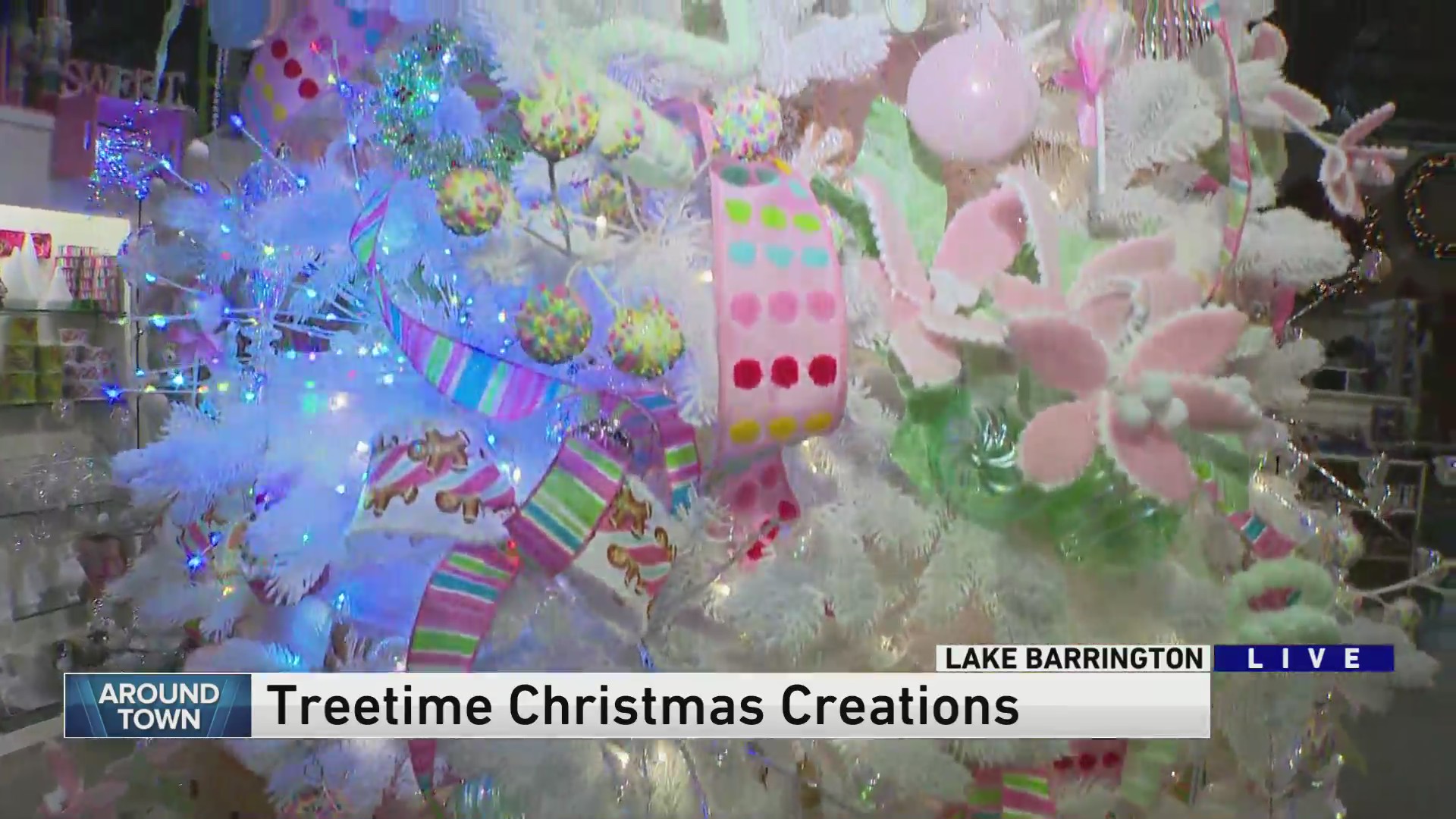 Around Town Treetime Christmas Creations WGNTV