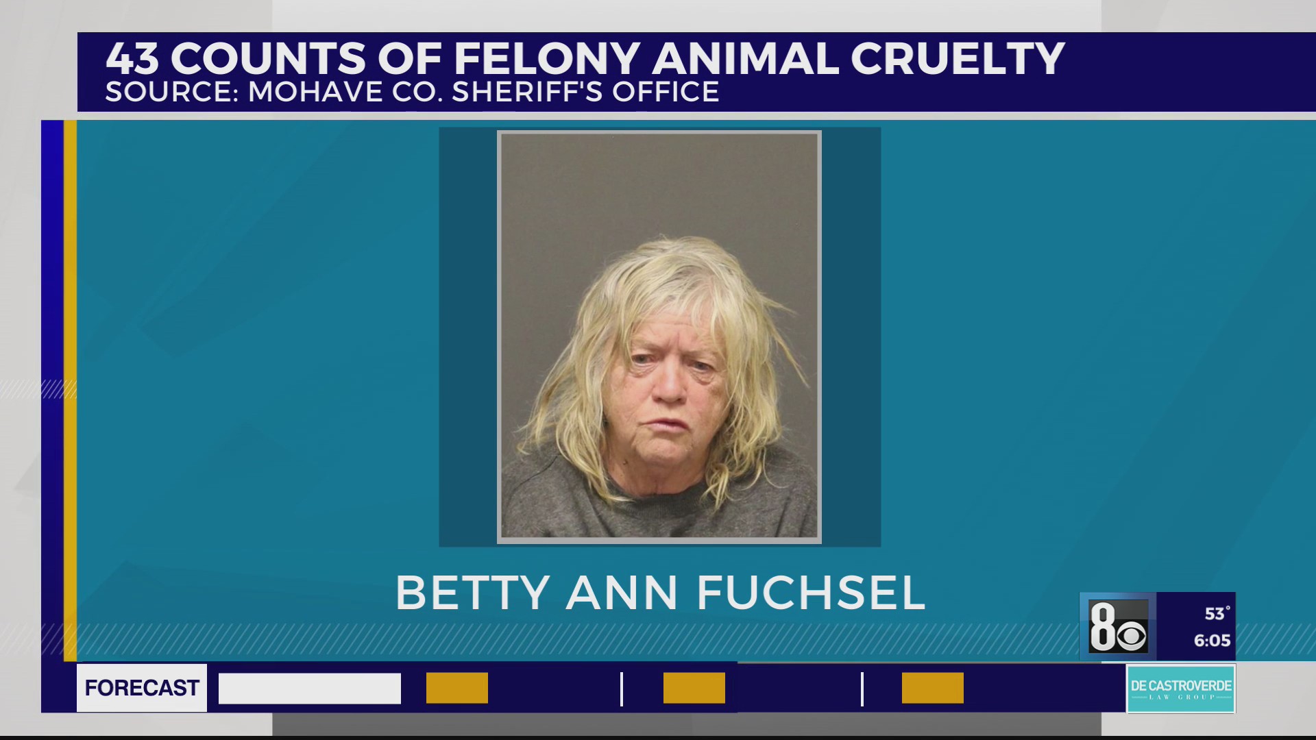43 dogs rescued, 77-year-old woman arrested in animal cruelty ...