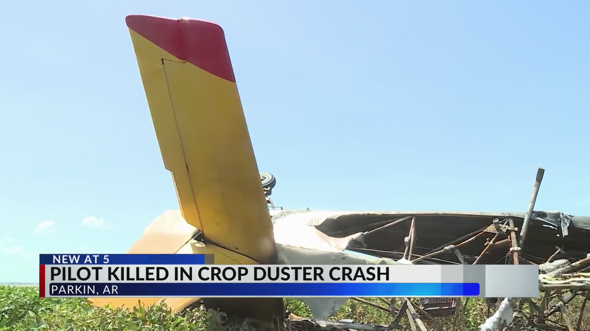 Pilot killed in Ark. crop duster crash – WREG.com