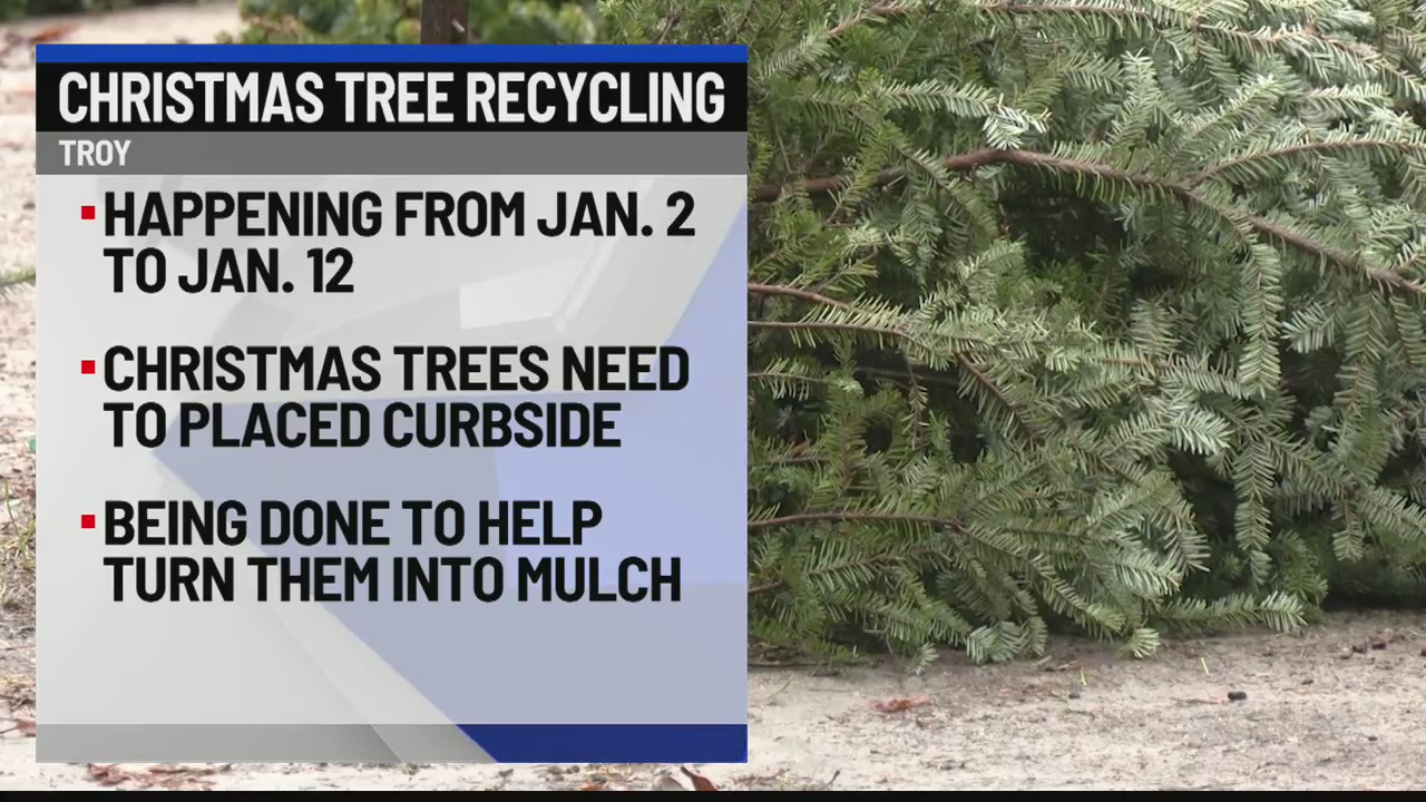 Christmas tree recycling in Troy NEWS10 ABC