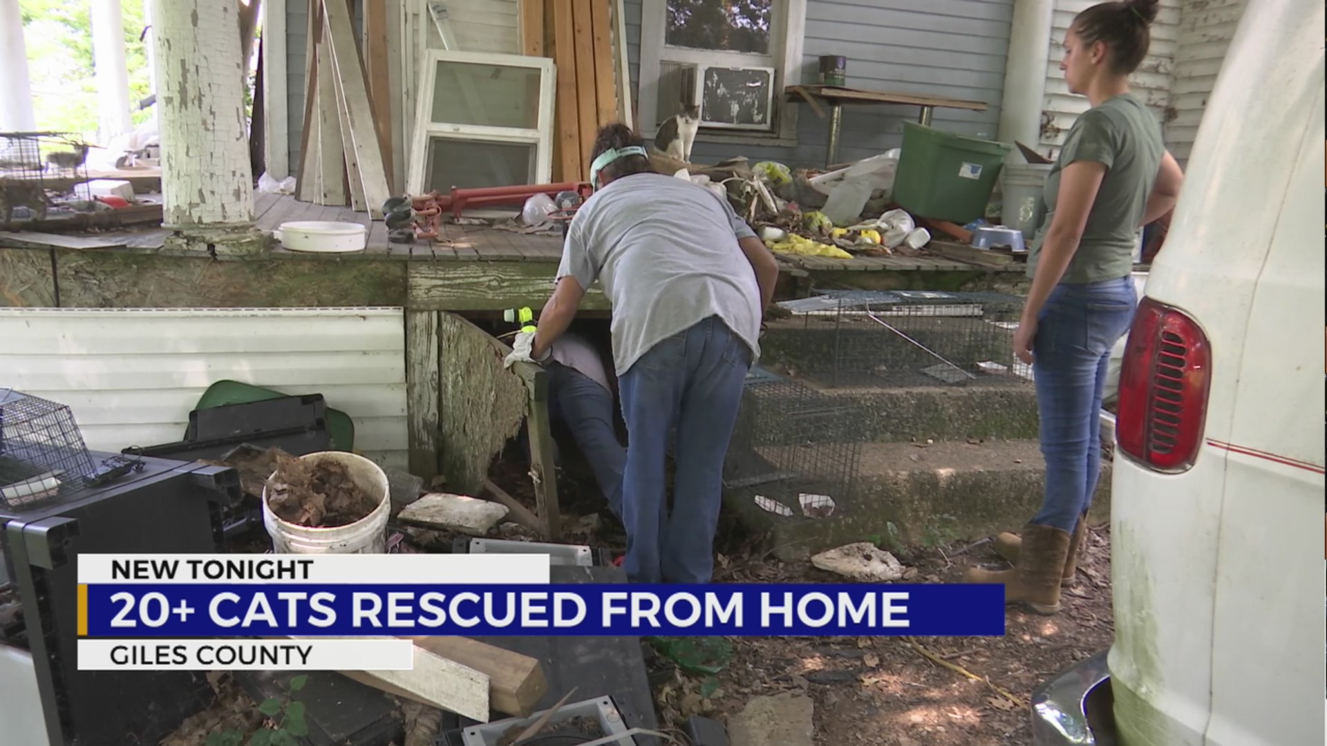 20+ cats rescued from Tennessee home – WKRN News 2