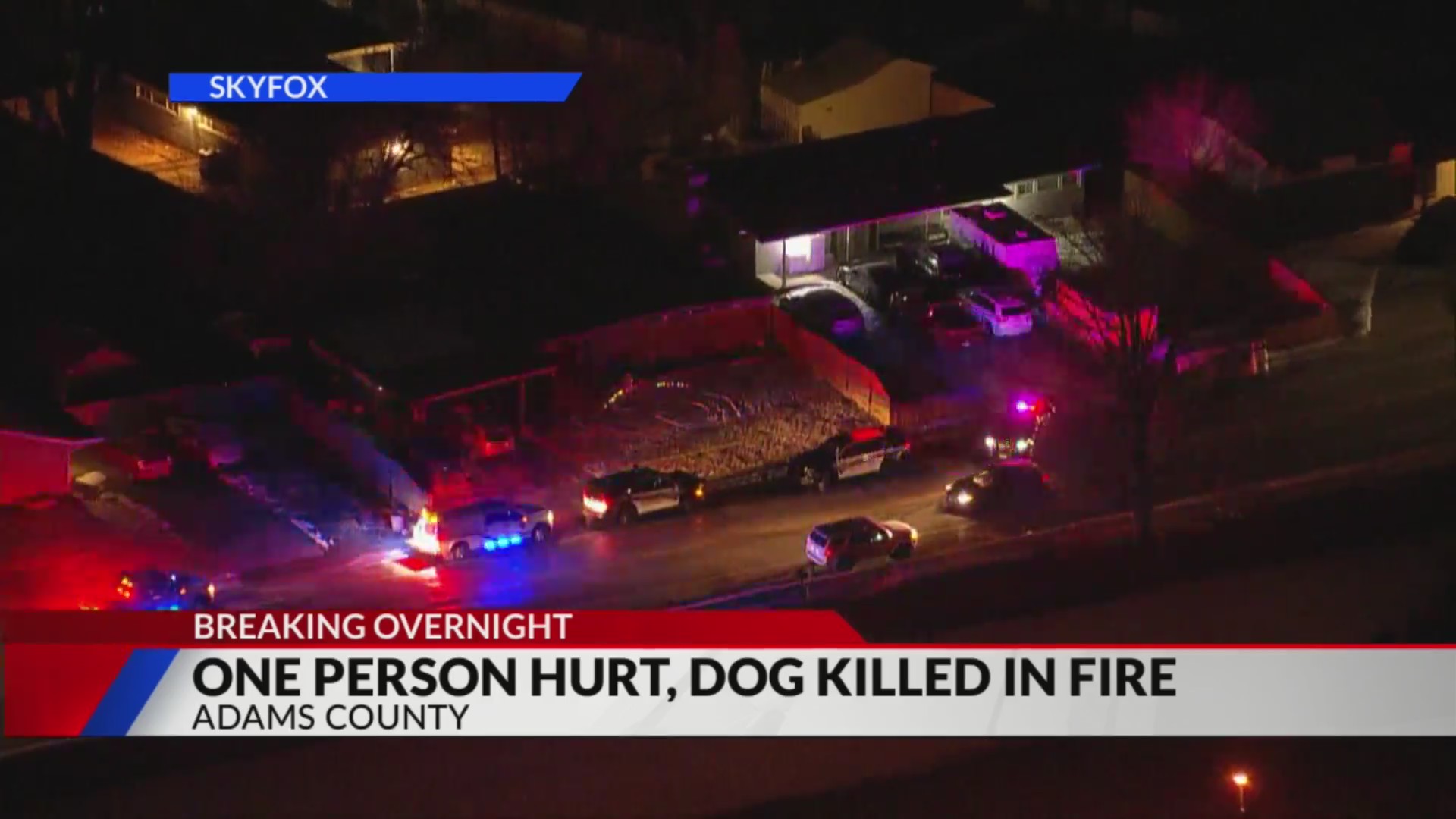 1 person injured, dog killed in Adams County house fire – FOX31 Denver