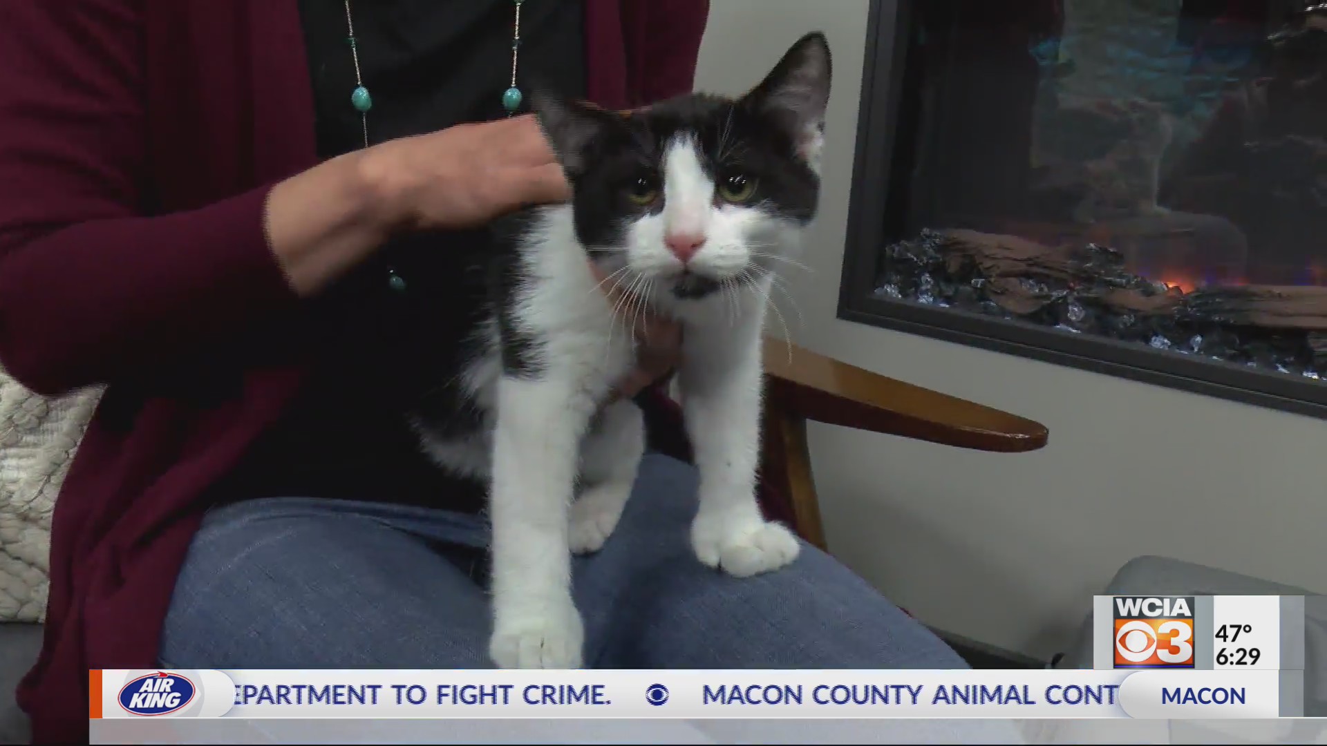 Pet On The Set Evander and