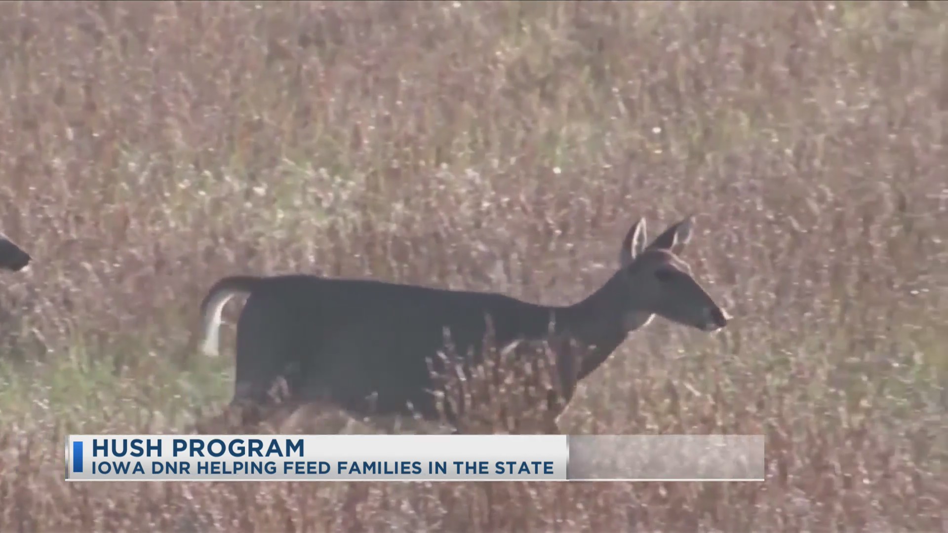 HUSH Program Helping Feed Families In Iowa SiouxlandProud Sioux City, IA News, Weather