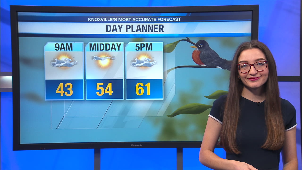 Partly cloudy, breezy and mild today – WATE 6 On Your Side