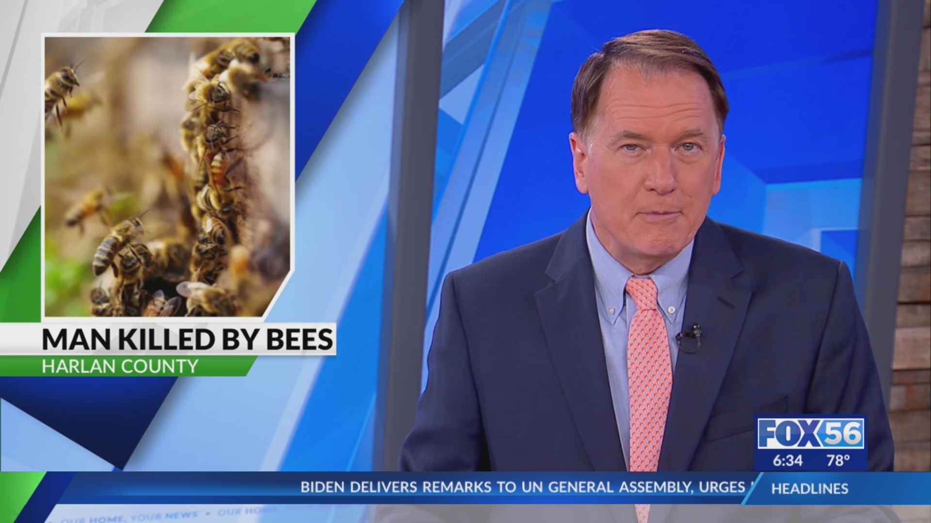 Man killed by swarm of bees in Harlan County – WKRN News 2