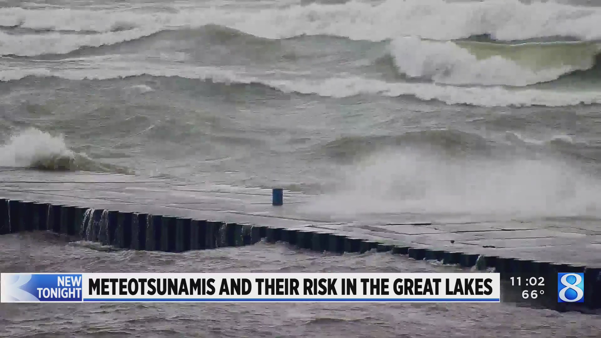 Tsunami washington live