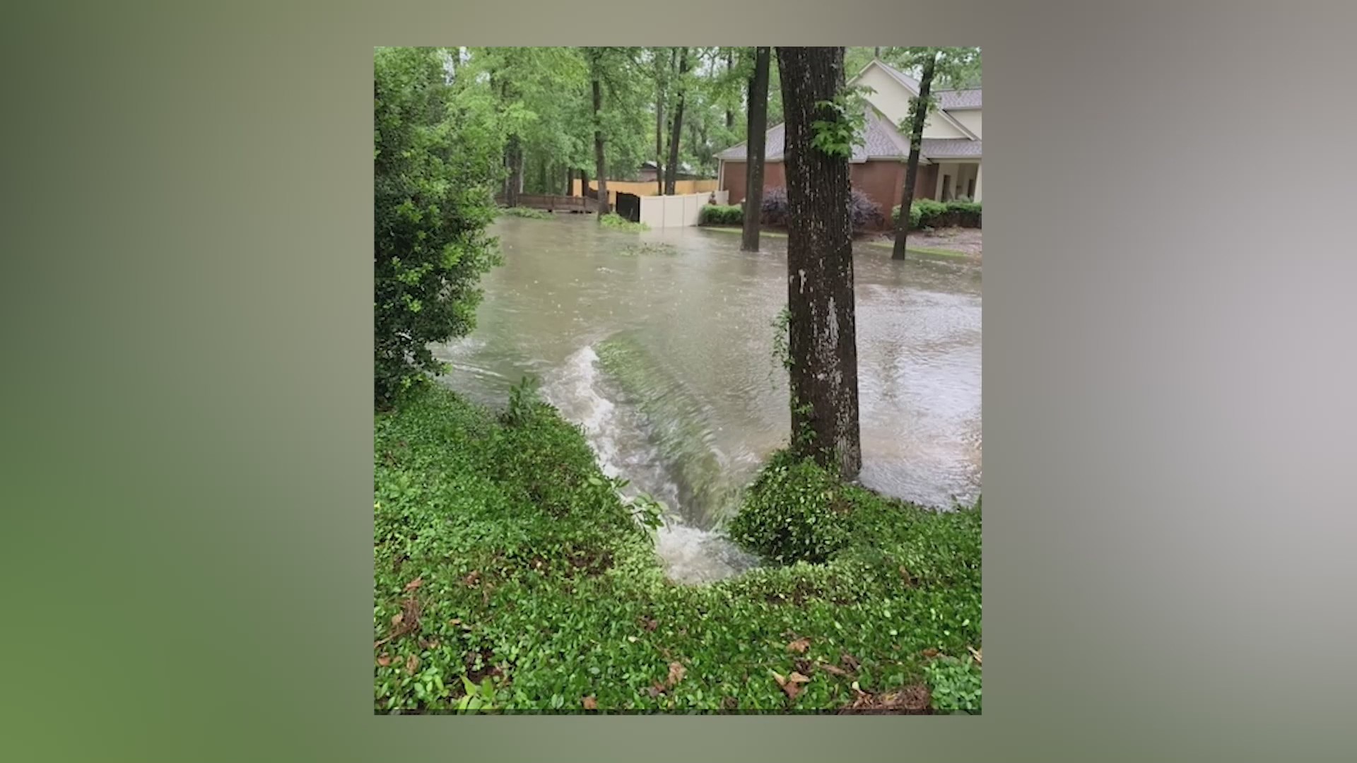 Shocking Exposé: The Infamous Dothan Mugshots Today and the Systemic Issues Persists