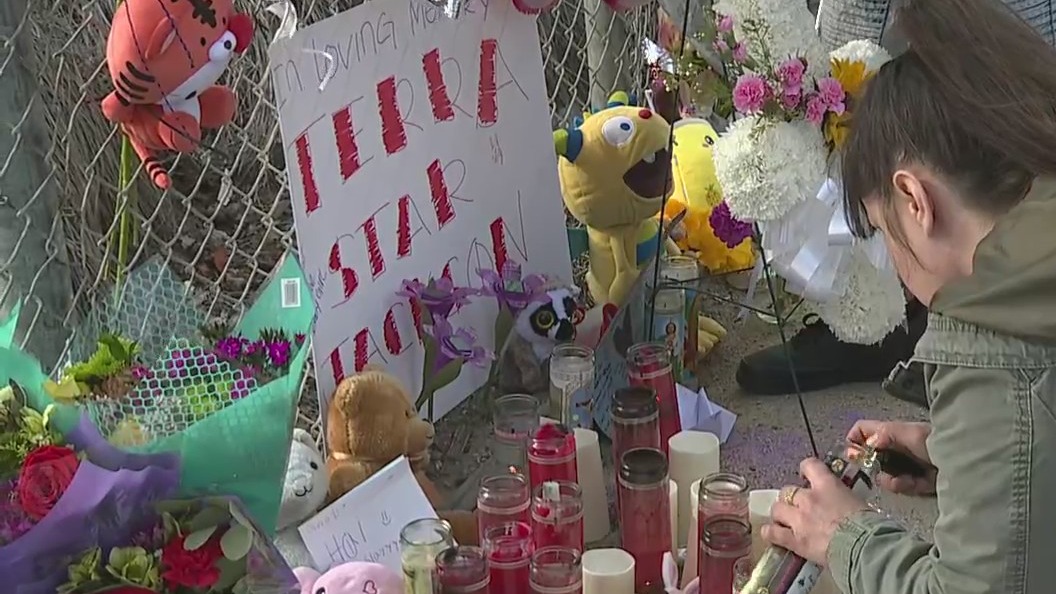 11-year-old girl struck by vehicle dies after being taken off of life ...