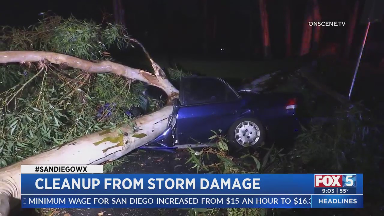 Cleanup From Storm Damage – FOX 5 San Diego & KUSI News