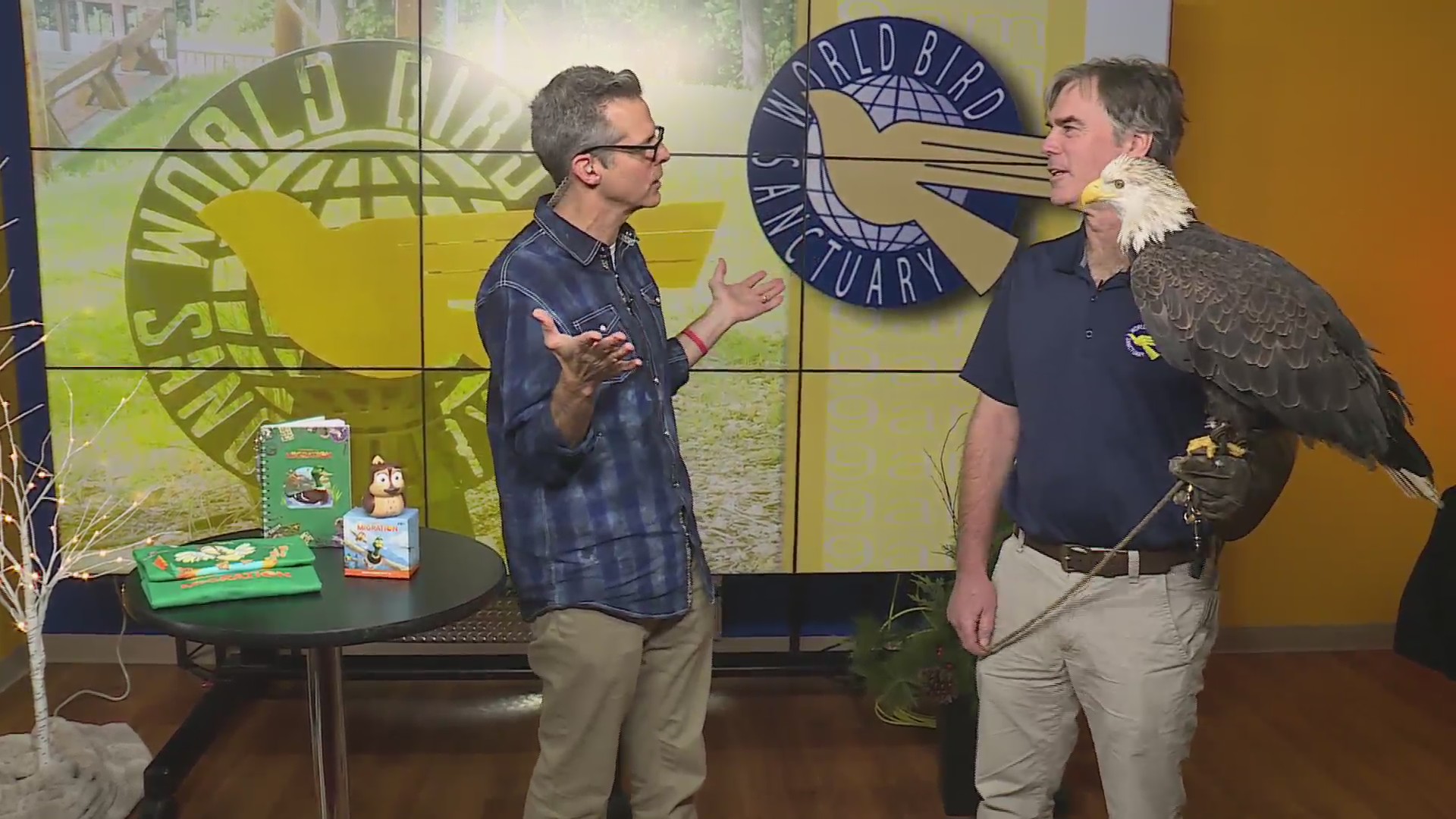 World Bird Sanctuary Executive Director explains bird migration ...