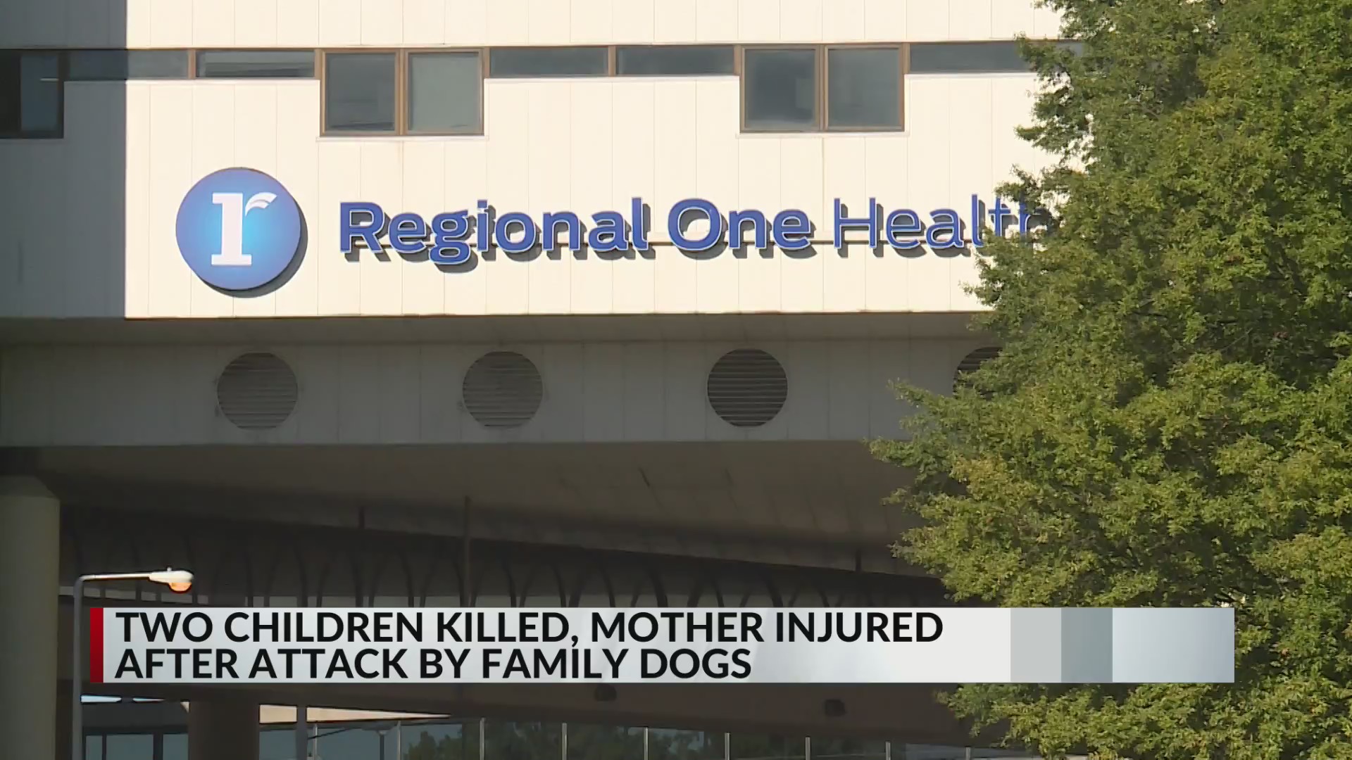 Children killed, mother injured by family dogs: SCSO – WKRN News 2