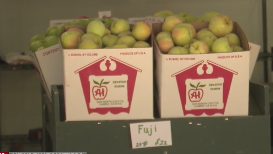 Growers report a shortage of apples at Apple Hill FOX40