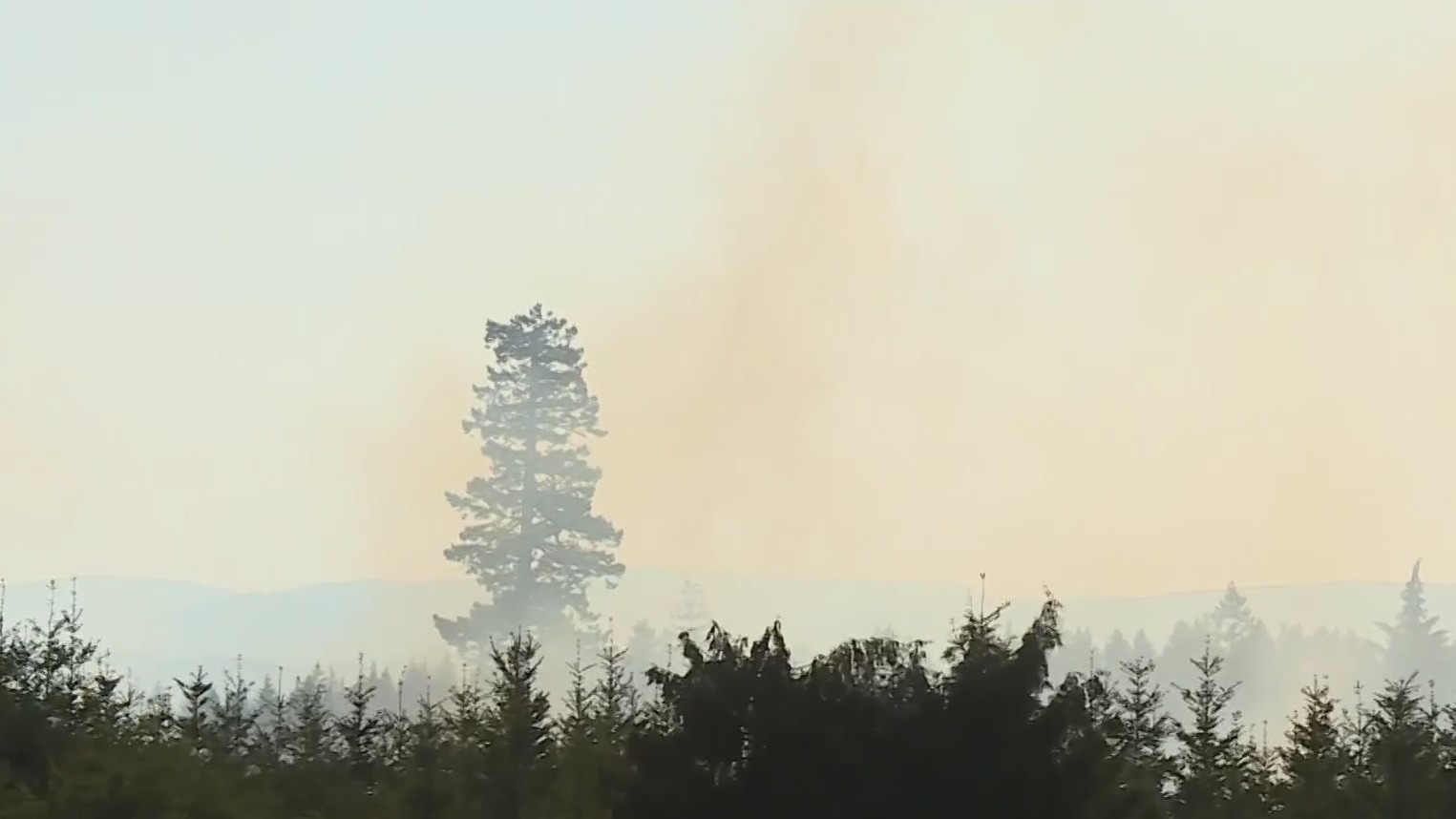 Beavercreek fire still burning, evacuation levels remain – KOIN.com