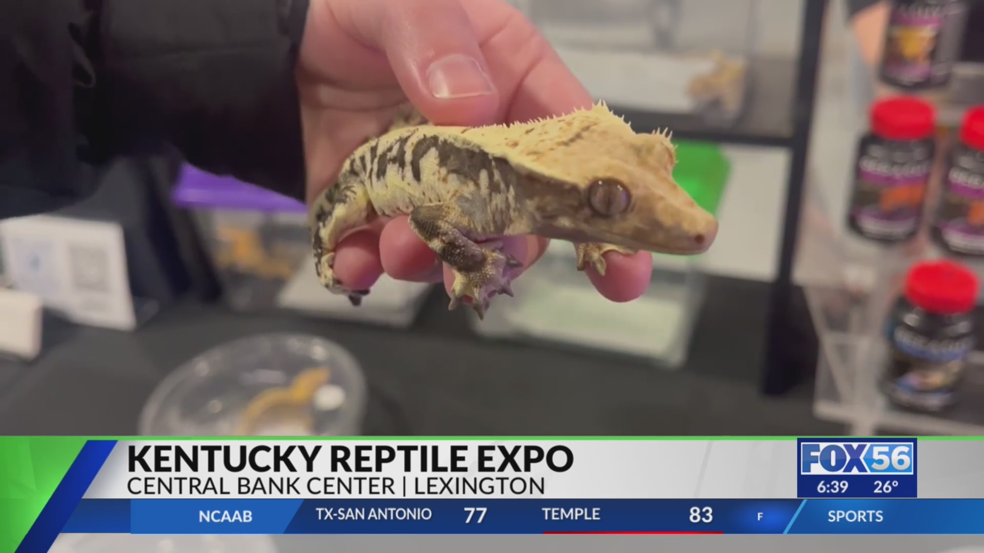 Kentucky Reptile Expo held at Lexington’s Central Bank Center FOX 56 News