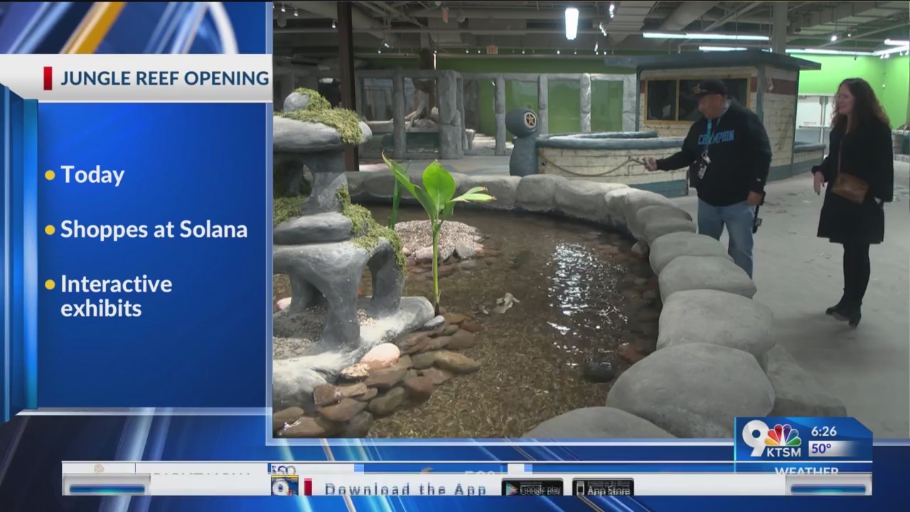 Jungle Reef El Paso opens new aquarium today KTSM 9 News
