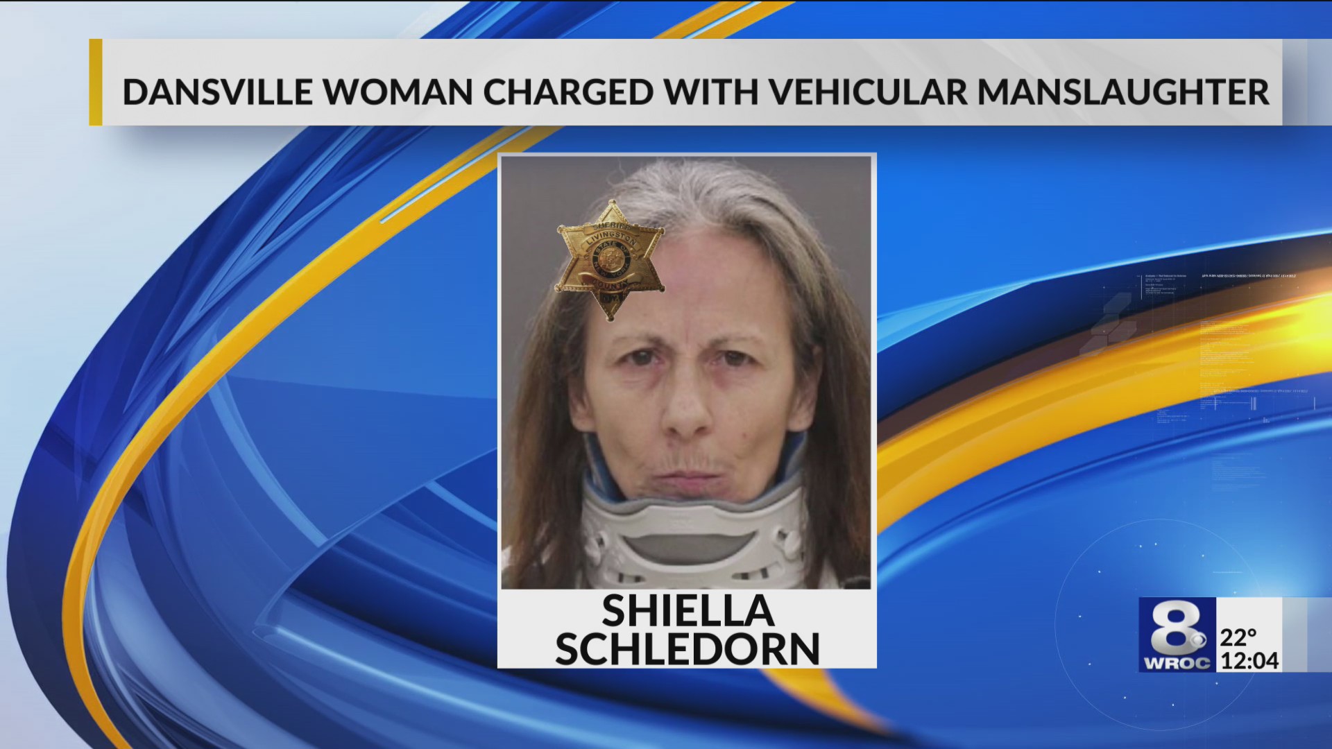 Dansville woman charged with vehicular manslaughter after fatal crash ...