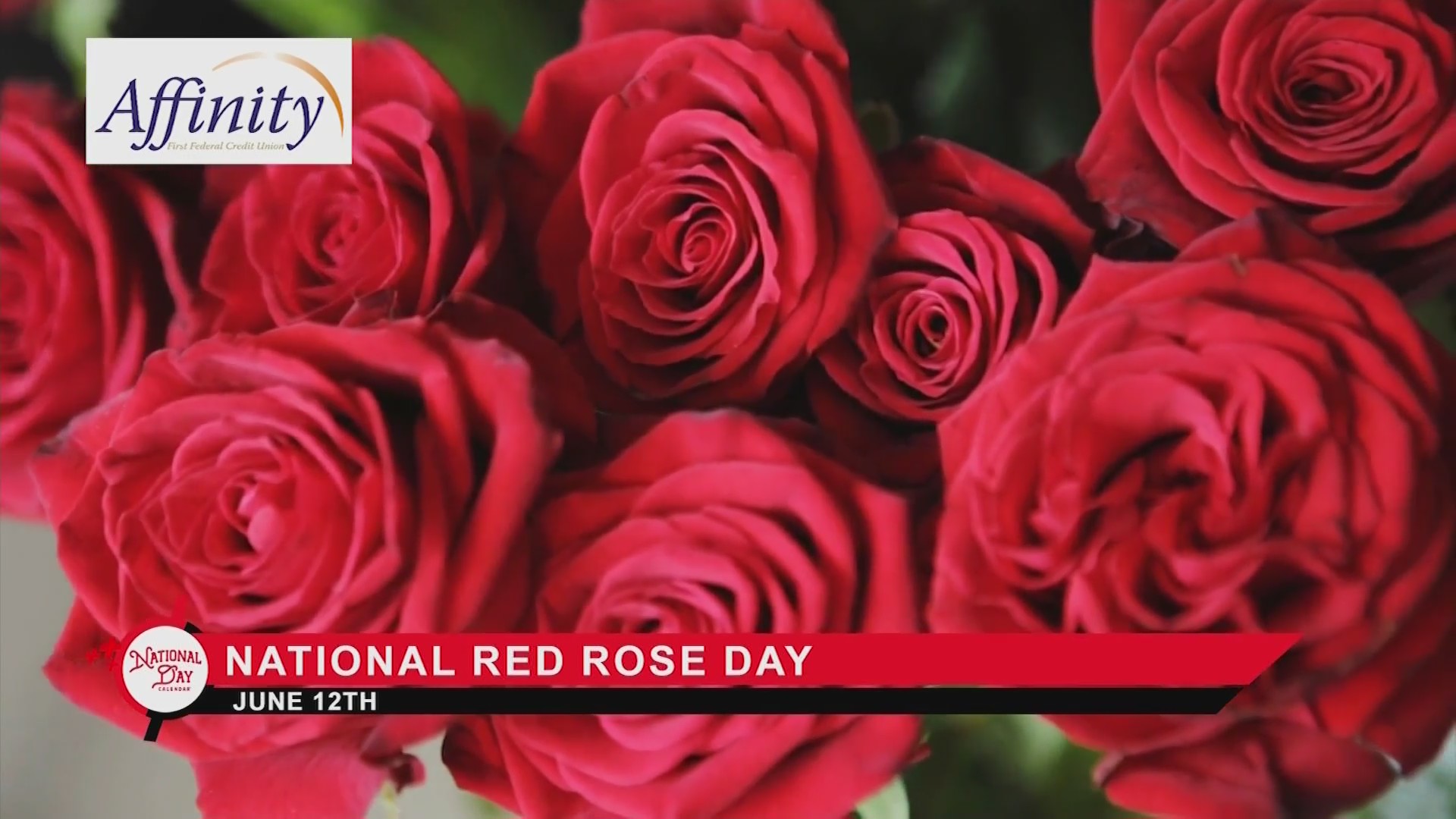 NATIONAL DAY CALENDAR National Red Rose Day KX NEWS