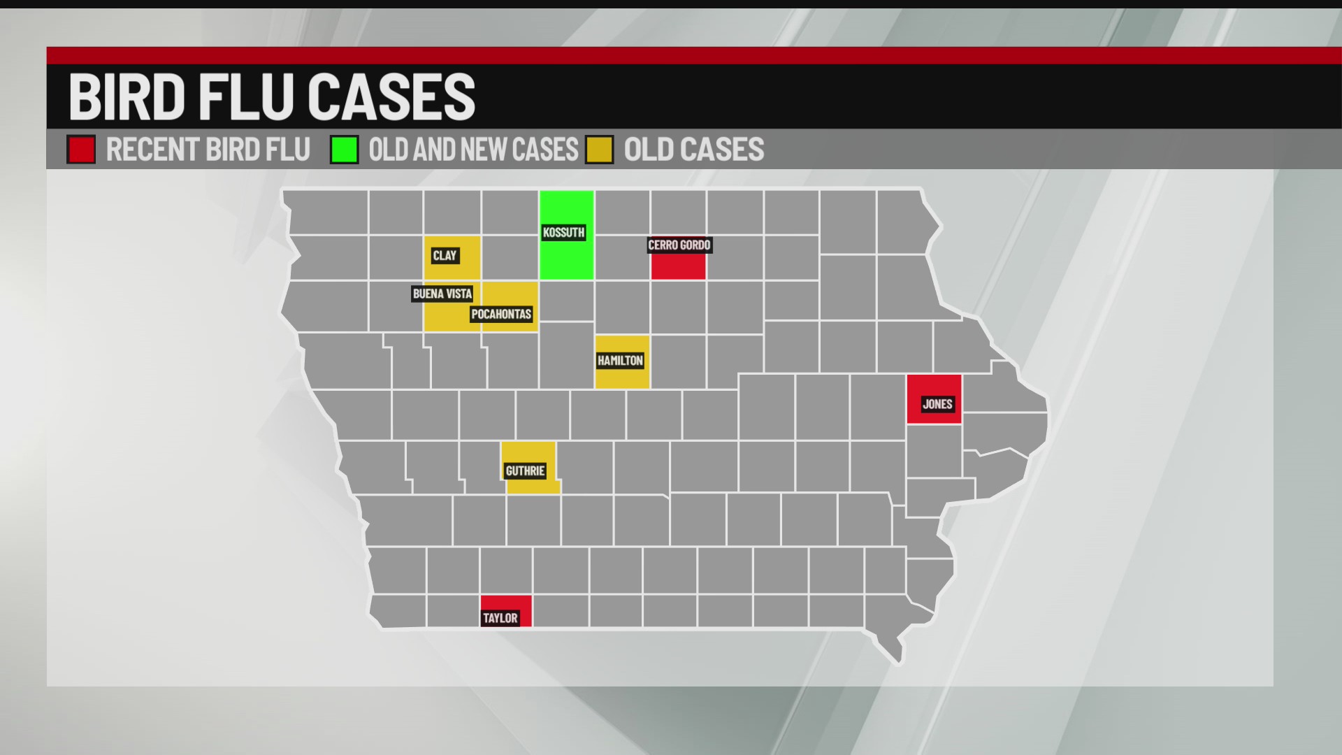 New bird flu cases detected in Iowa and what consumers should know ...