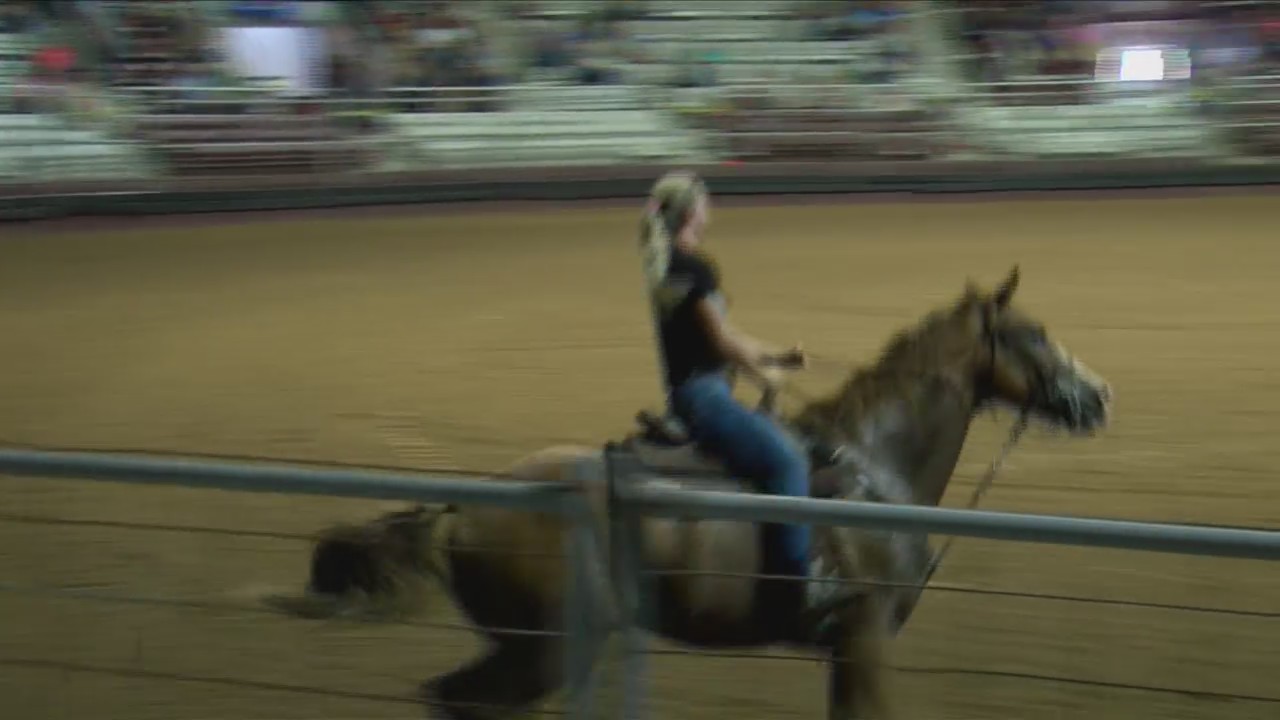 Arkansas state championship horse show brings thousands to Little Rock ...