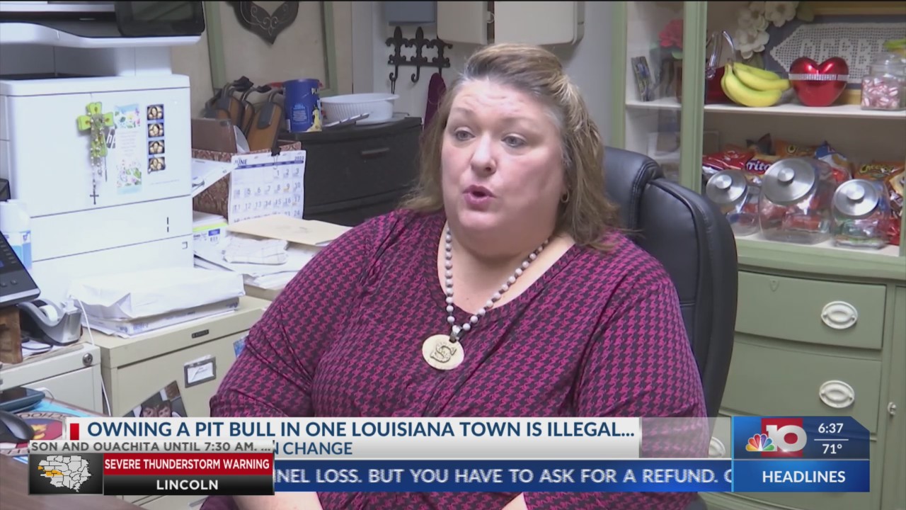 NBC 10 News Today It’s illegal to own a pit bull in Lake Arthur, La