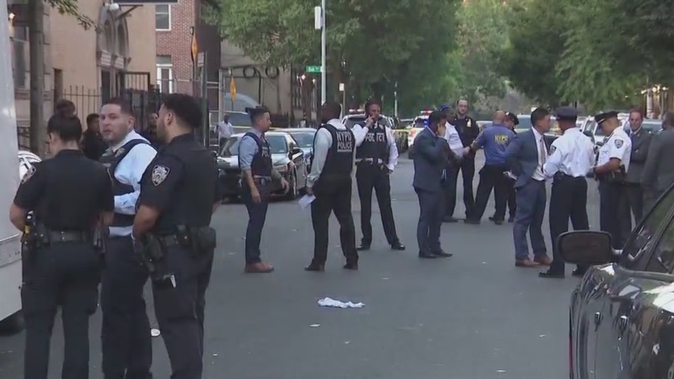 Man to appear in court in shooting of boy, 8, in the Bronx – PIX11