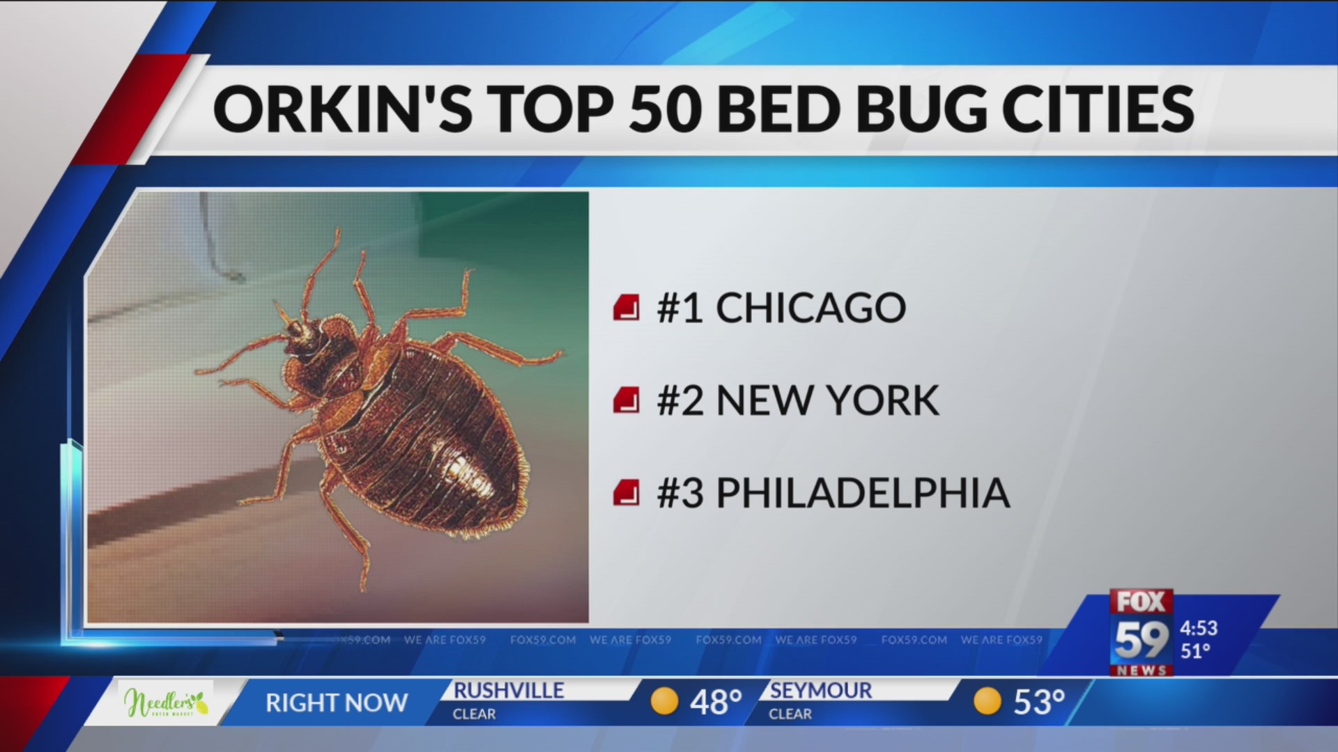 Indianapolis ranks in top 10 of worst cities for bed bugs – WKRN News 2