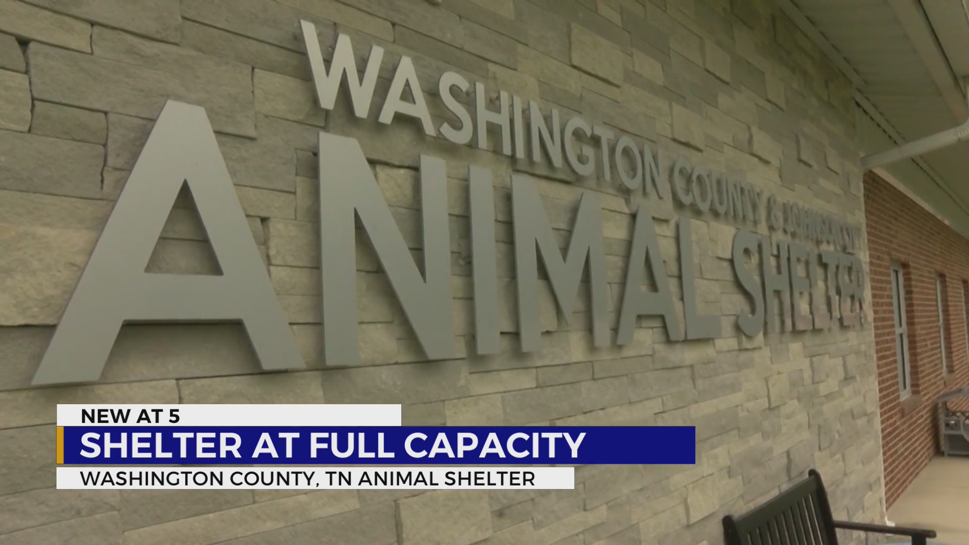Washington County/Johnson City Animal Shelter at capacity WJHL Tri
