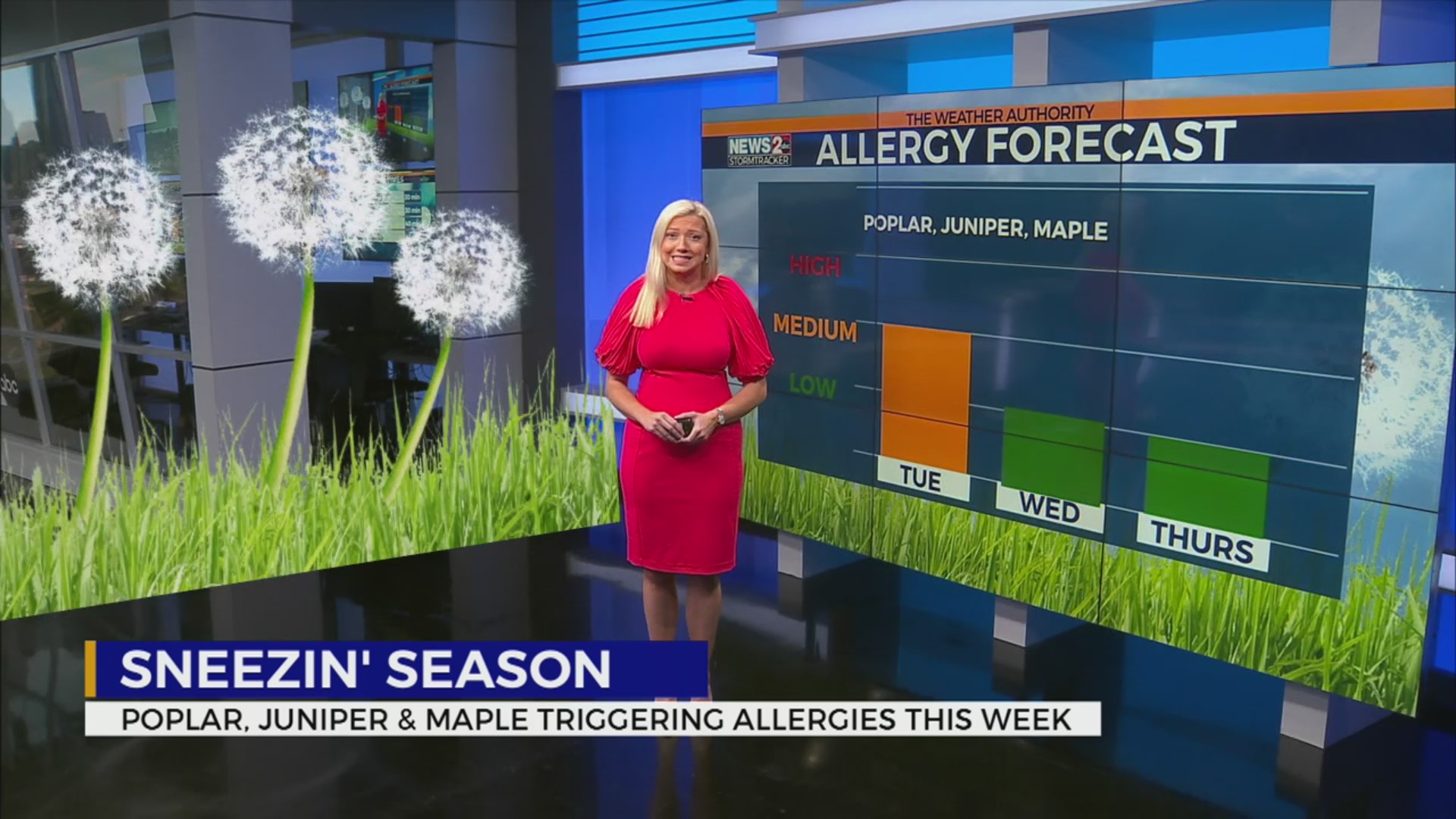 TN Allergy Forecast Tree pollen taking over and enhancing allergies
