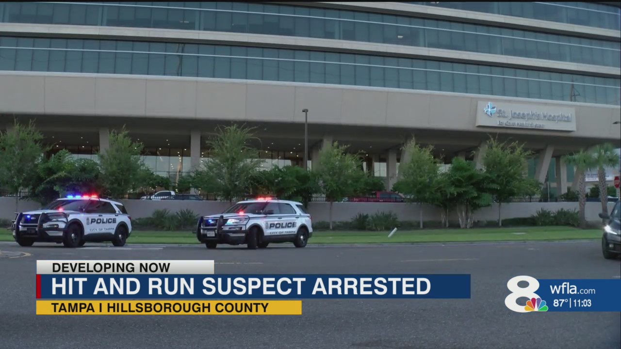 Tampa police arrest man who allegedly hit pedestrian, drove away – WFLA
