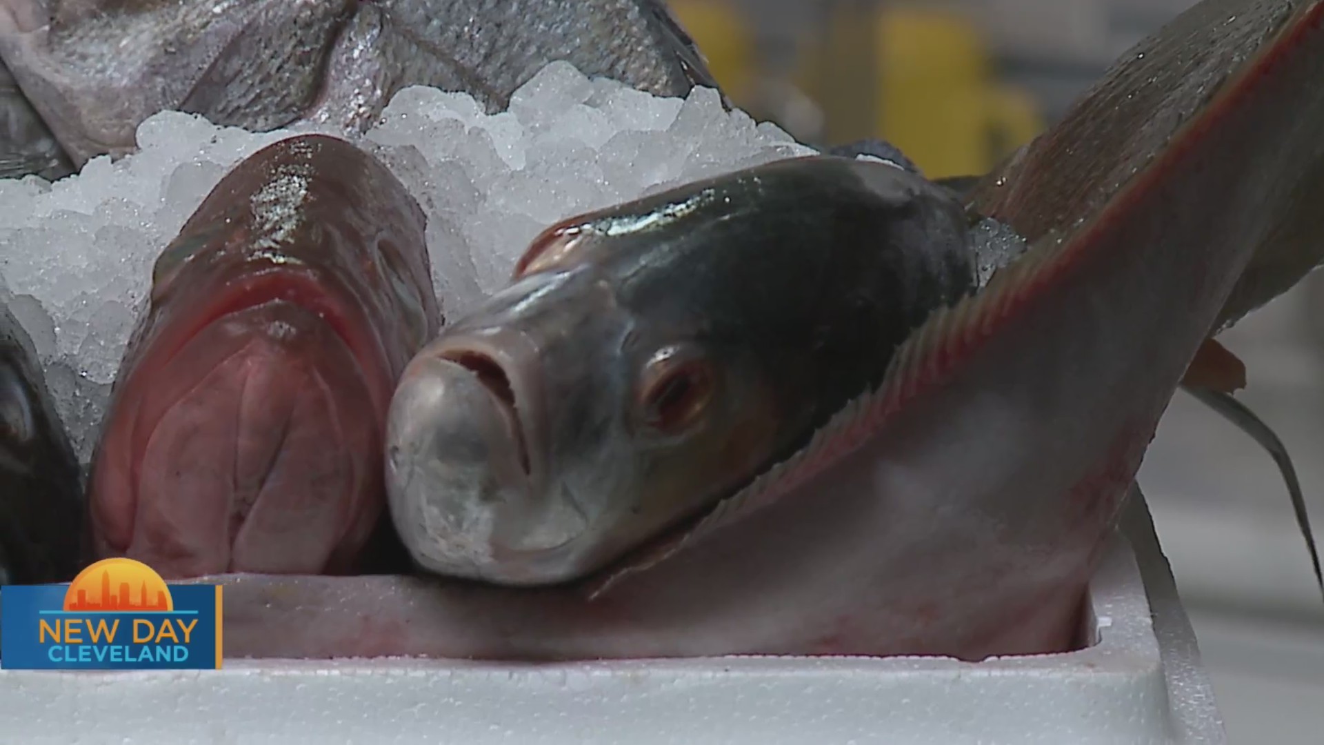 New Day Cleveland Shaker’s Fish Market Fox 8 Cleveland WJW